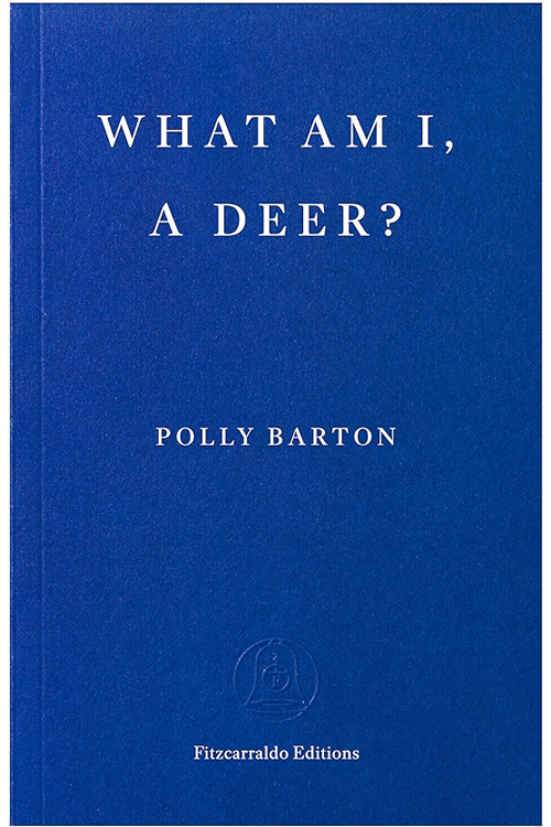 What Am I, A Deer? by Polly Barton