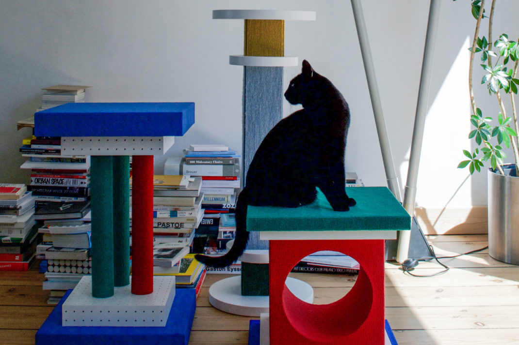 A cat sits on contemporary art Axelle Vertommen