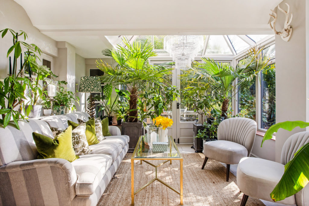 Biophilic interior of a conservatory