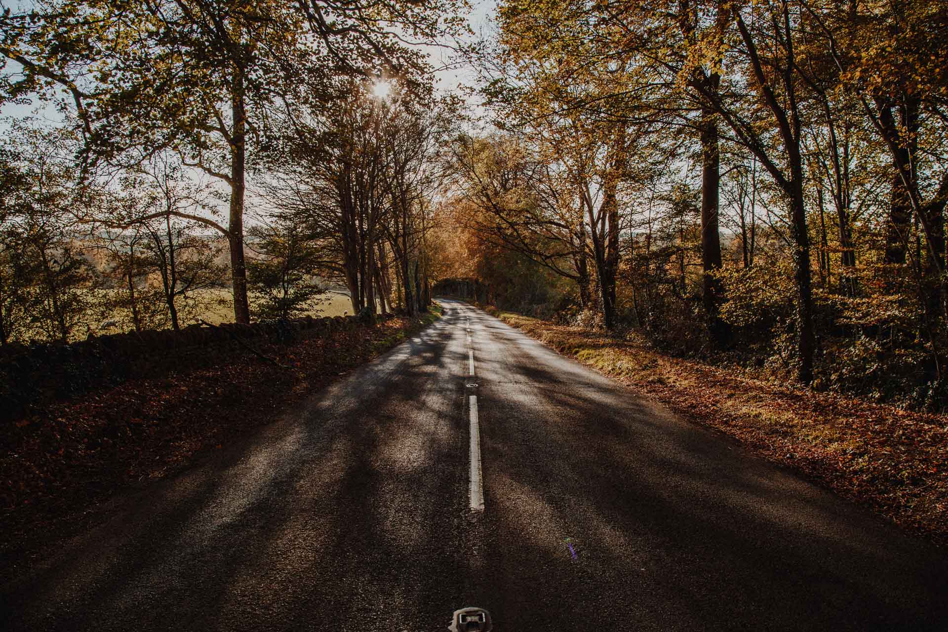 Cotswolds Photo by Devin Kleu on Unsplash