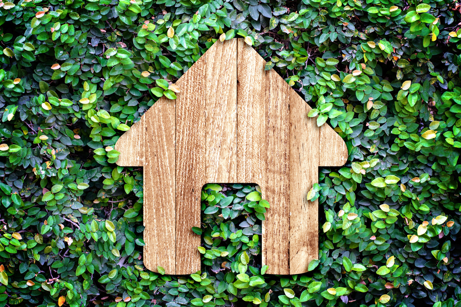Eco Homes: What You Need to Know