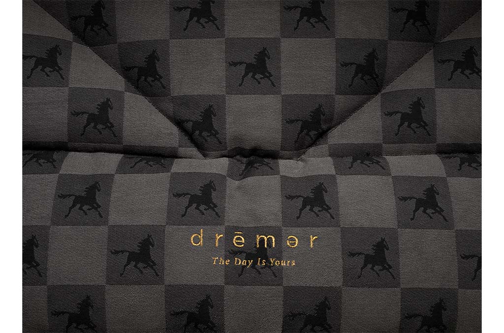 Hastens' drēmər logo in the Black Shadow