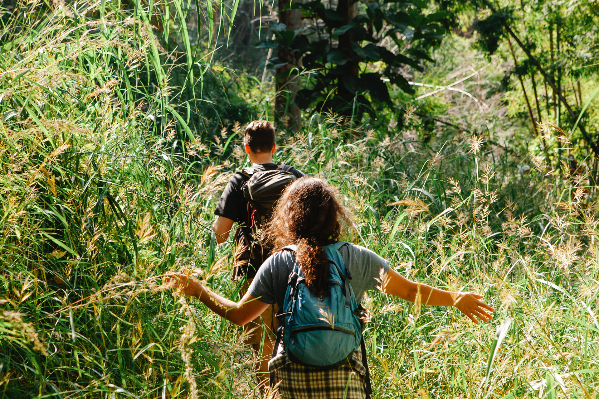 two people walking through tall grass