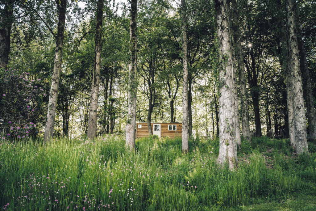 Hut nestled in the woods