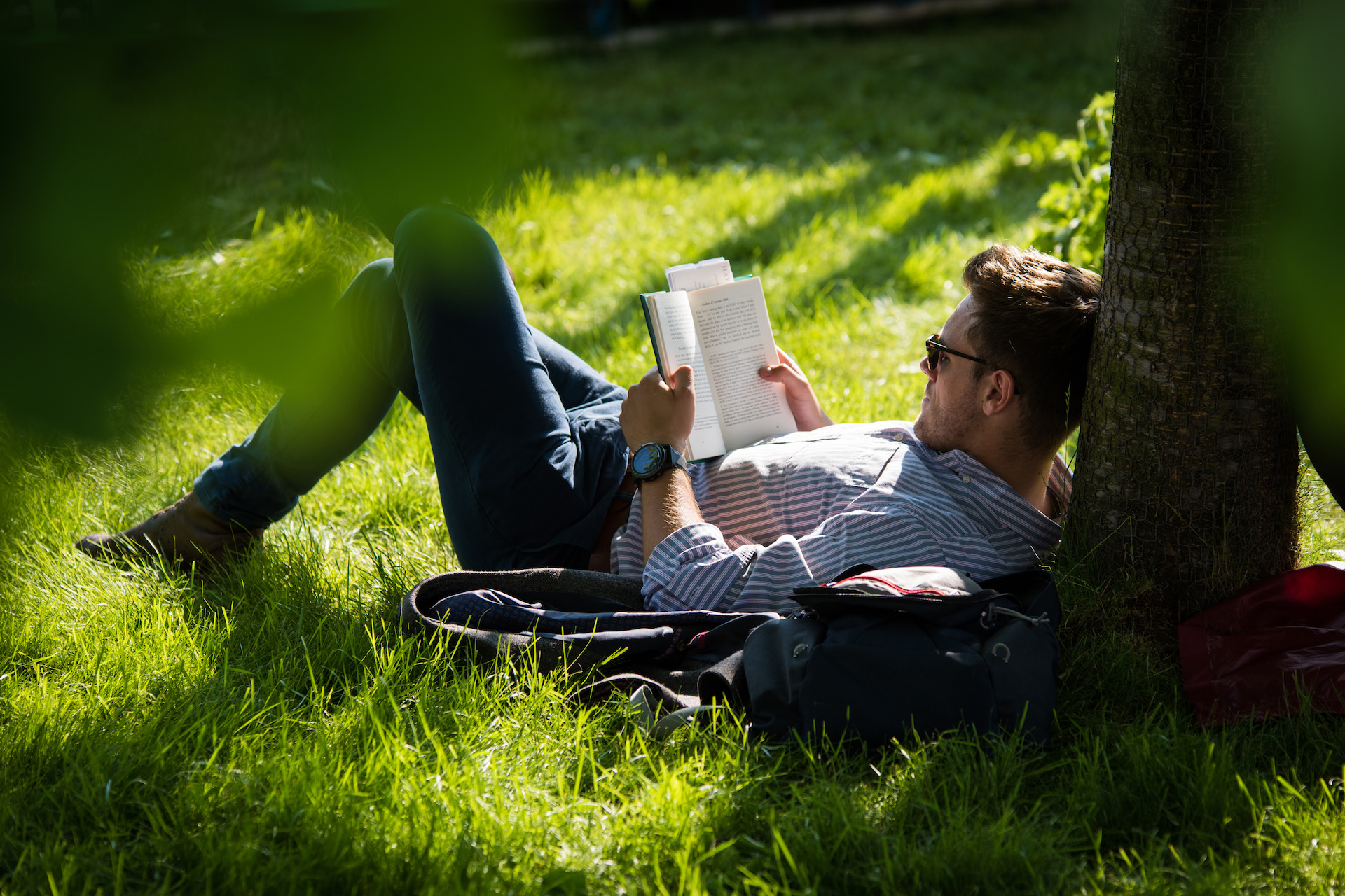 Reader in the sun on the grass