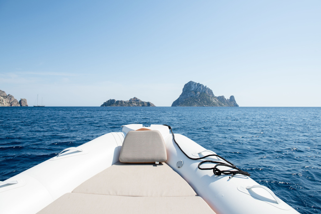 speed boat petunia 