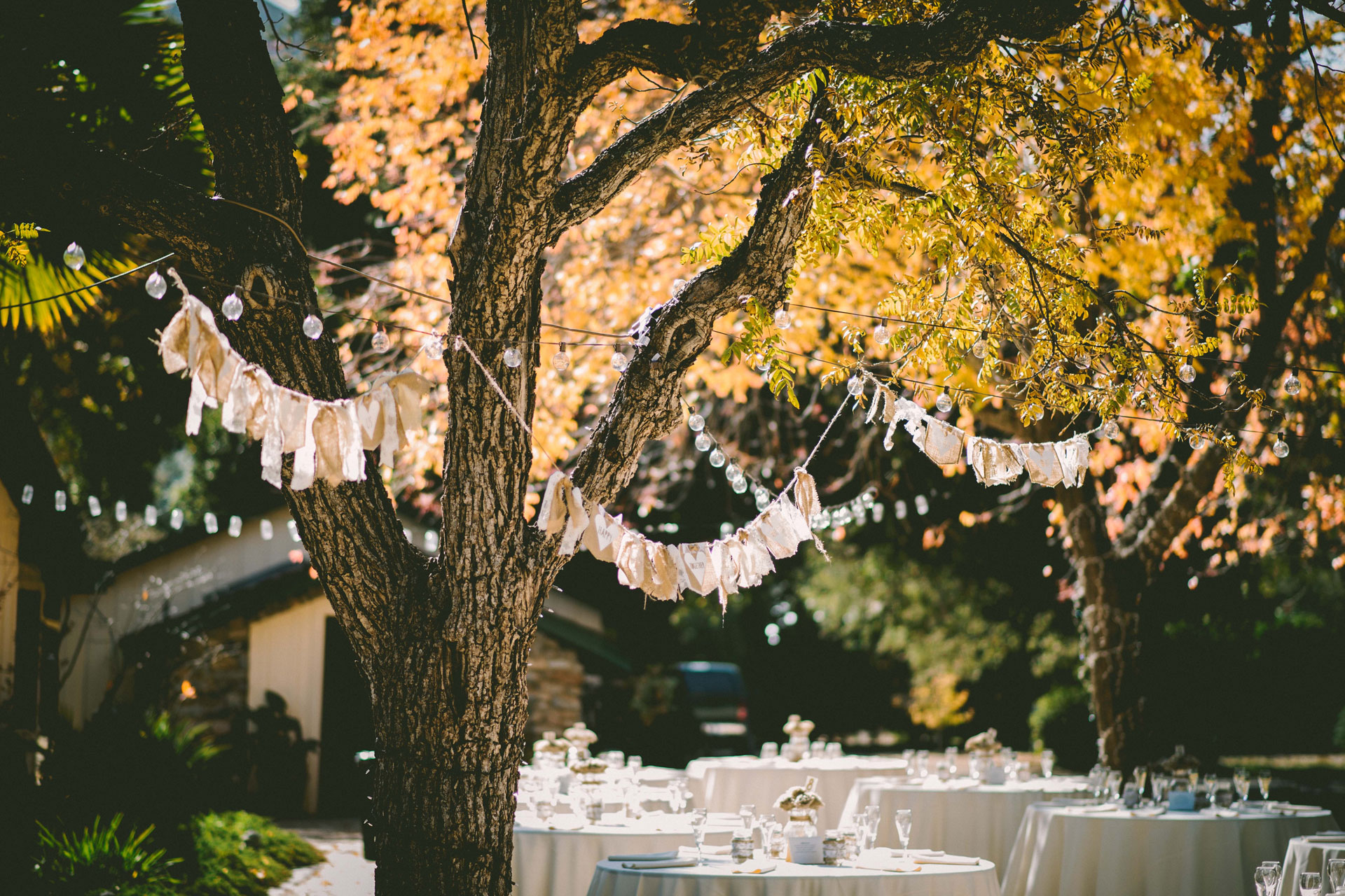 Outdoor wedding