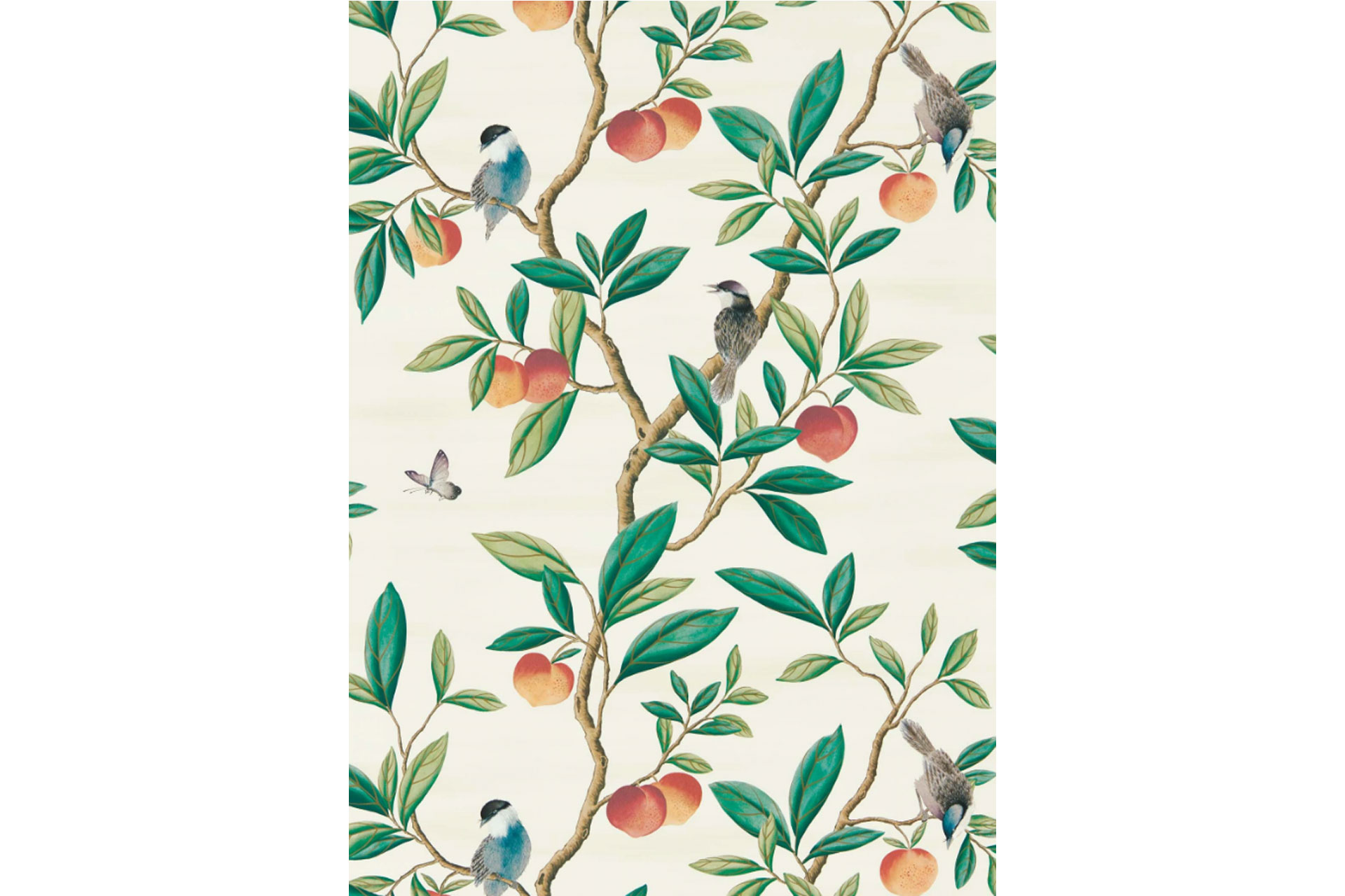 Dianne Hill Design