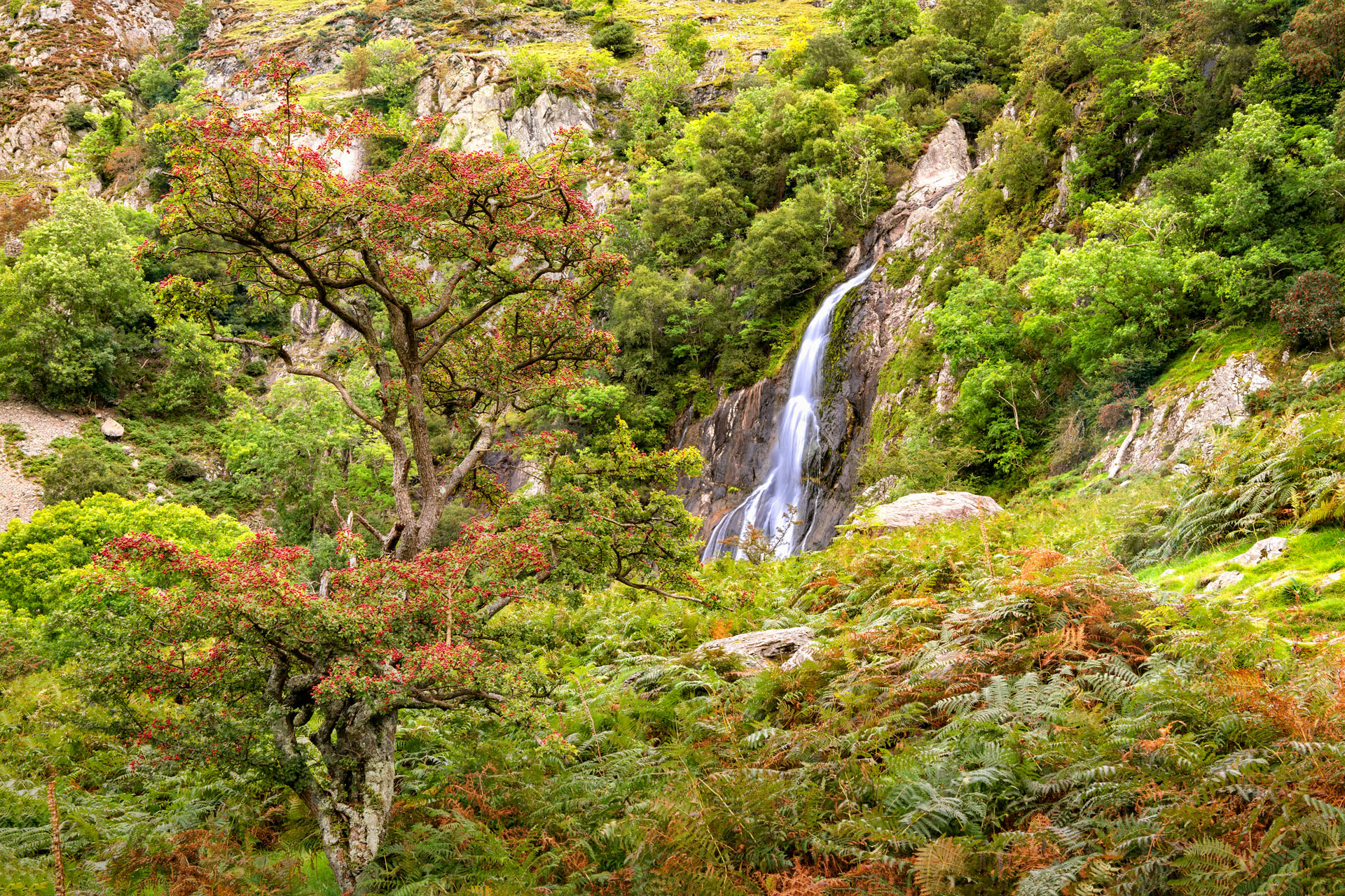View of Aber Falls in Snowdonia National Park
