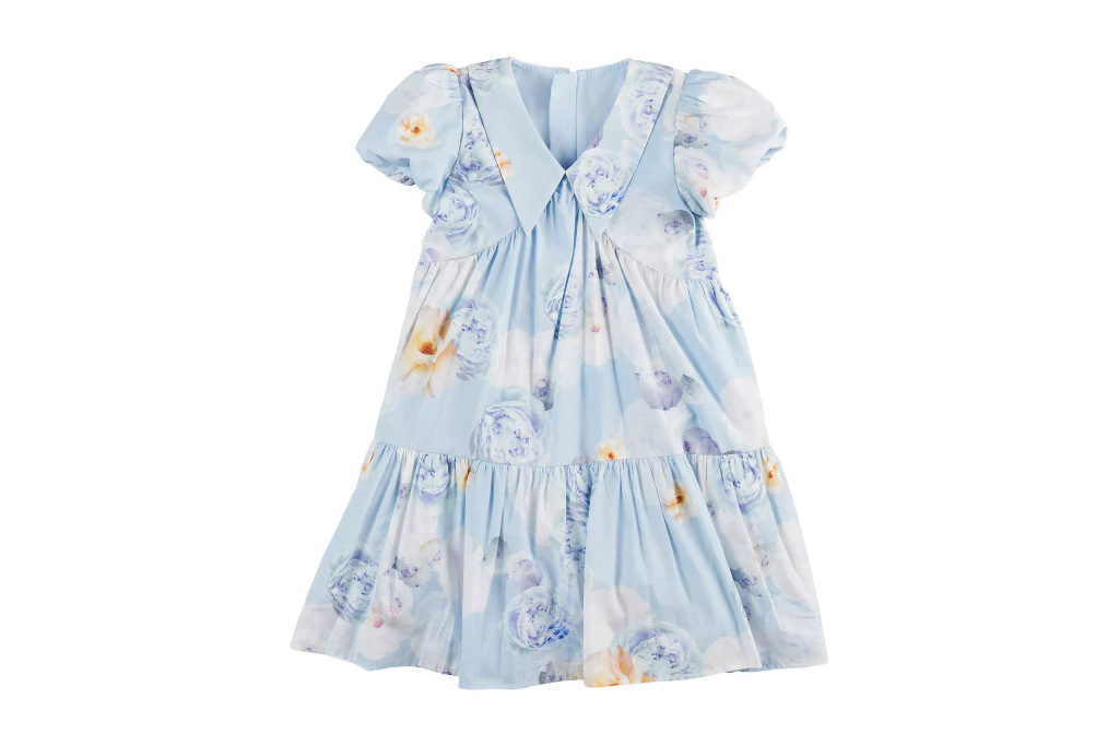 Blue floral dress with collar