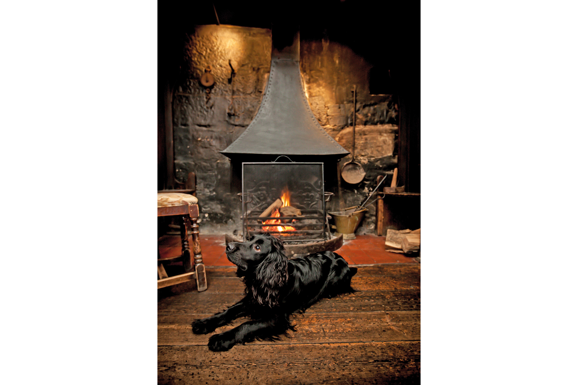 The Cat Inn