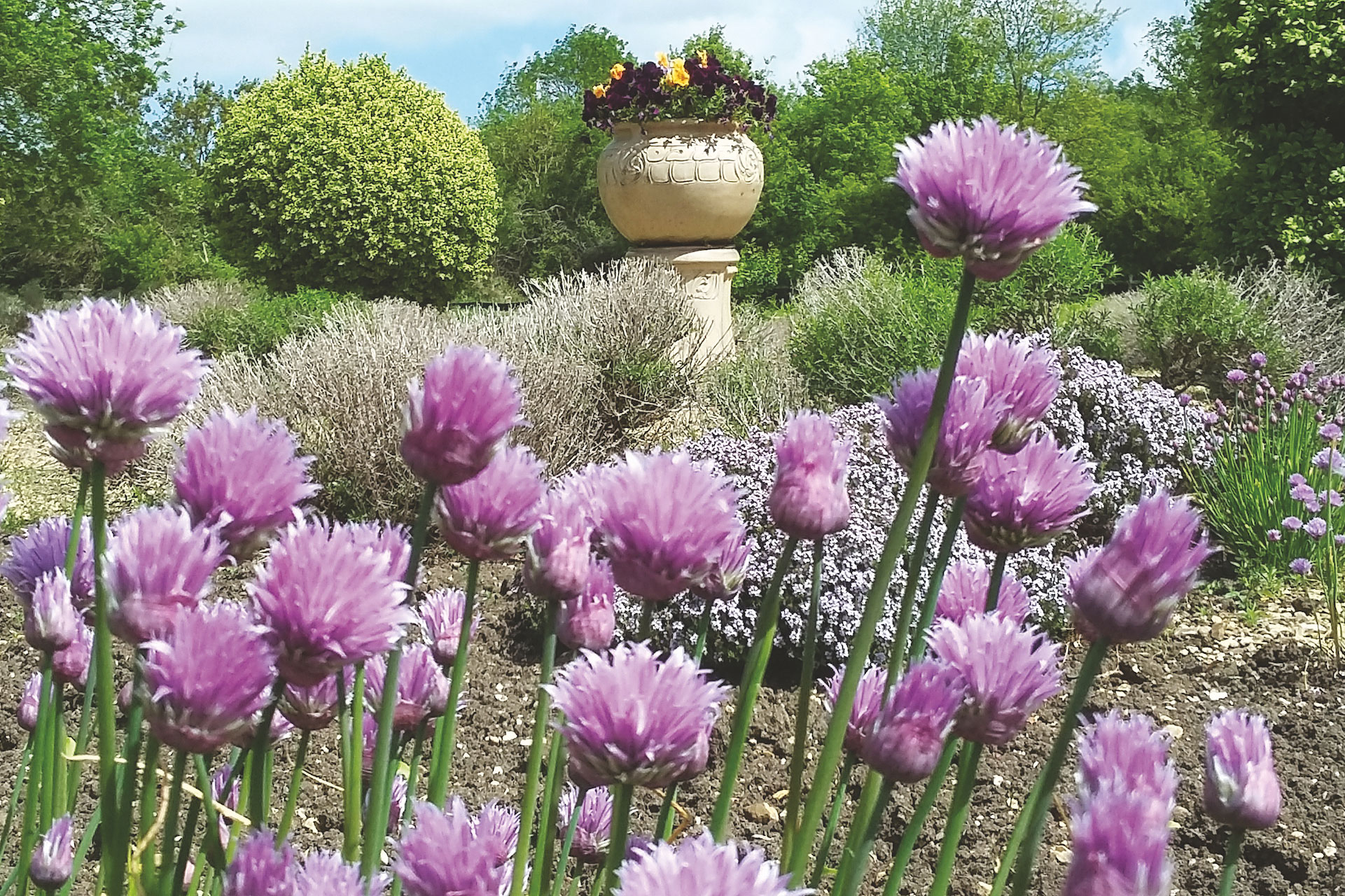 Congham Hall garden