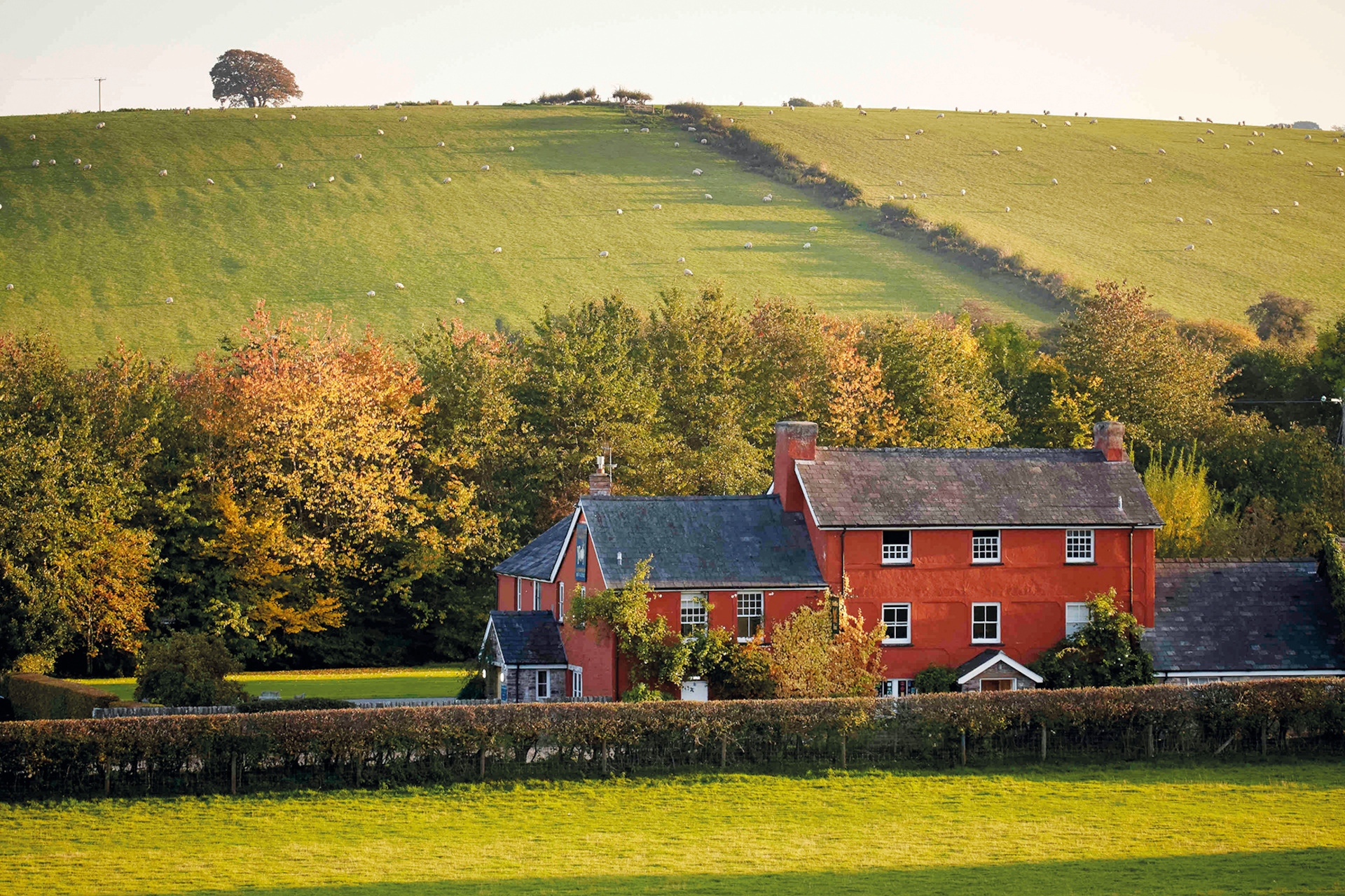 Red brick house in countryside