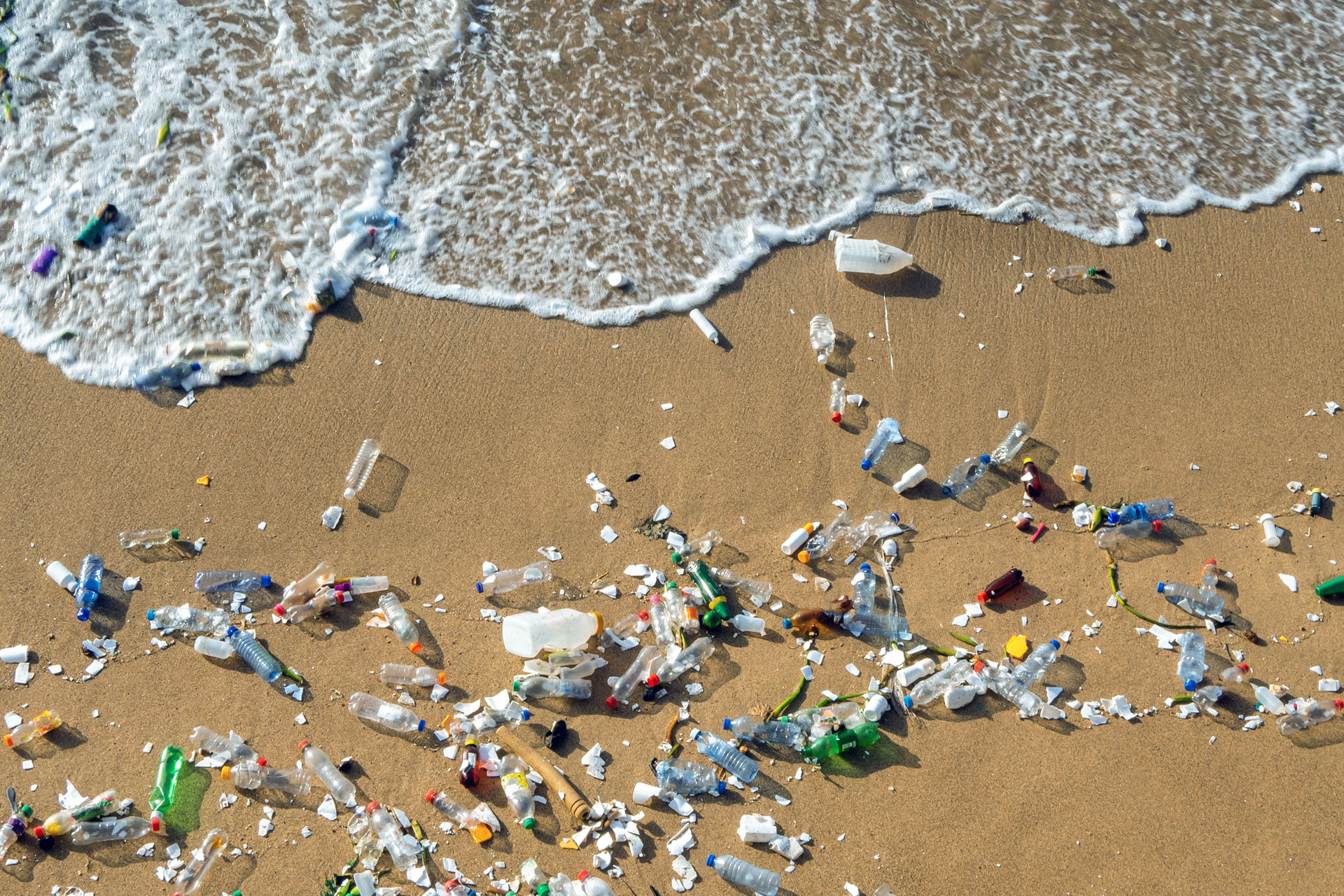 Plastic waste on beach