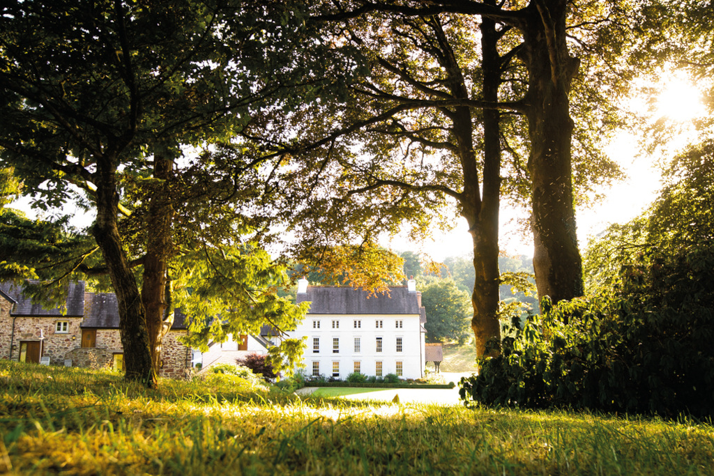 Large white house in wooded fields