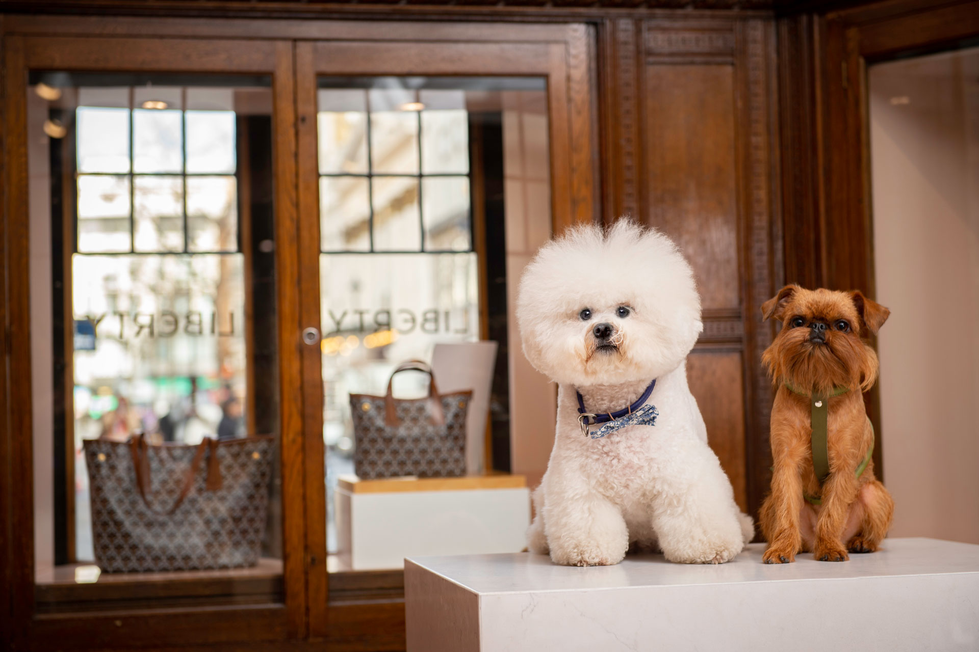 Liberty London Has Launched a Pet Spa