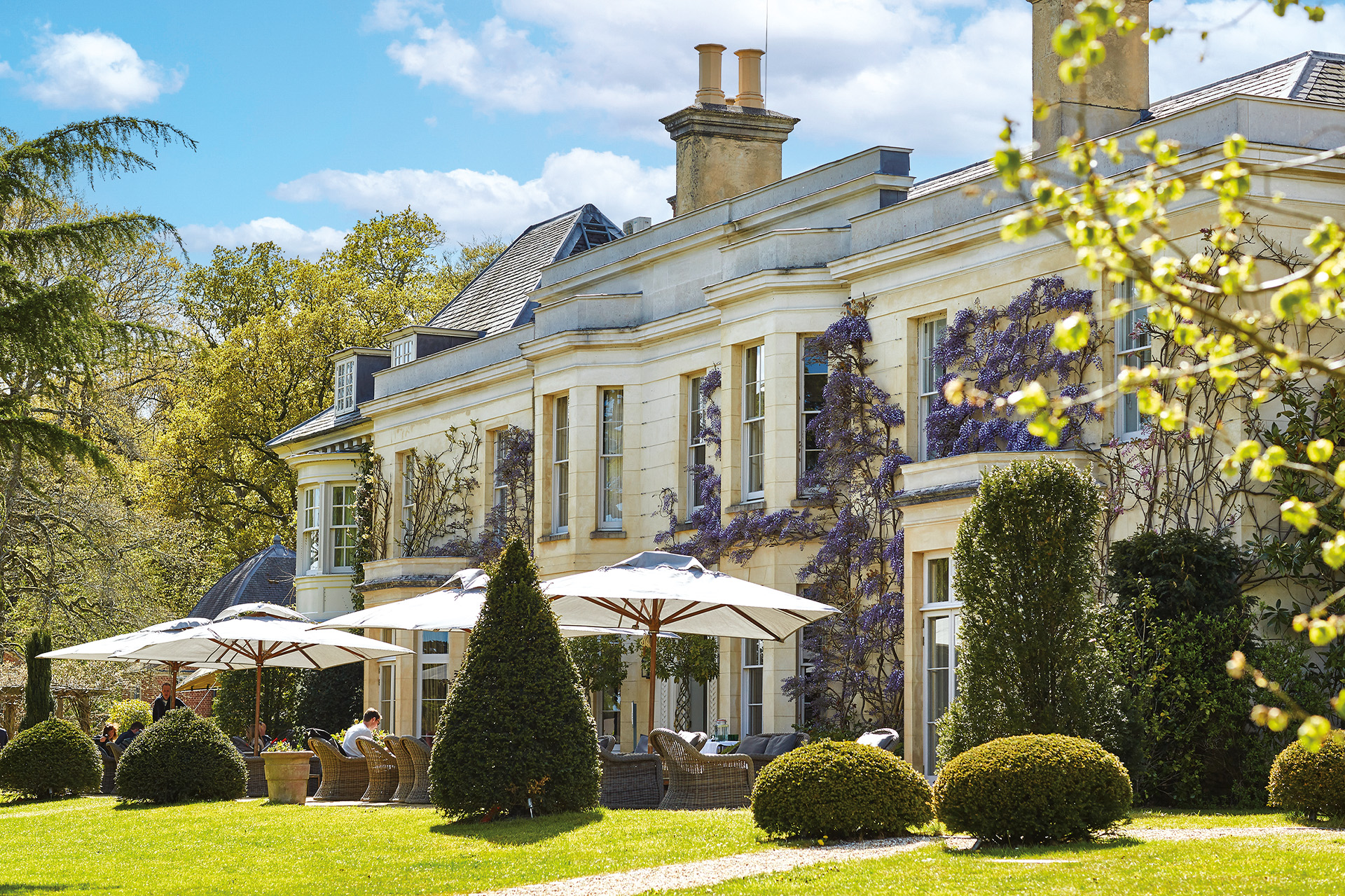 Lime Wood – Lyndhurst, Hampshire
