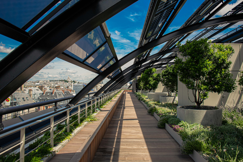 rooftop garden with curved ceiling