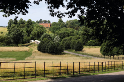 Fields with trees, fence and house in the distance