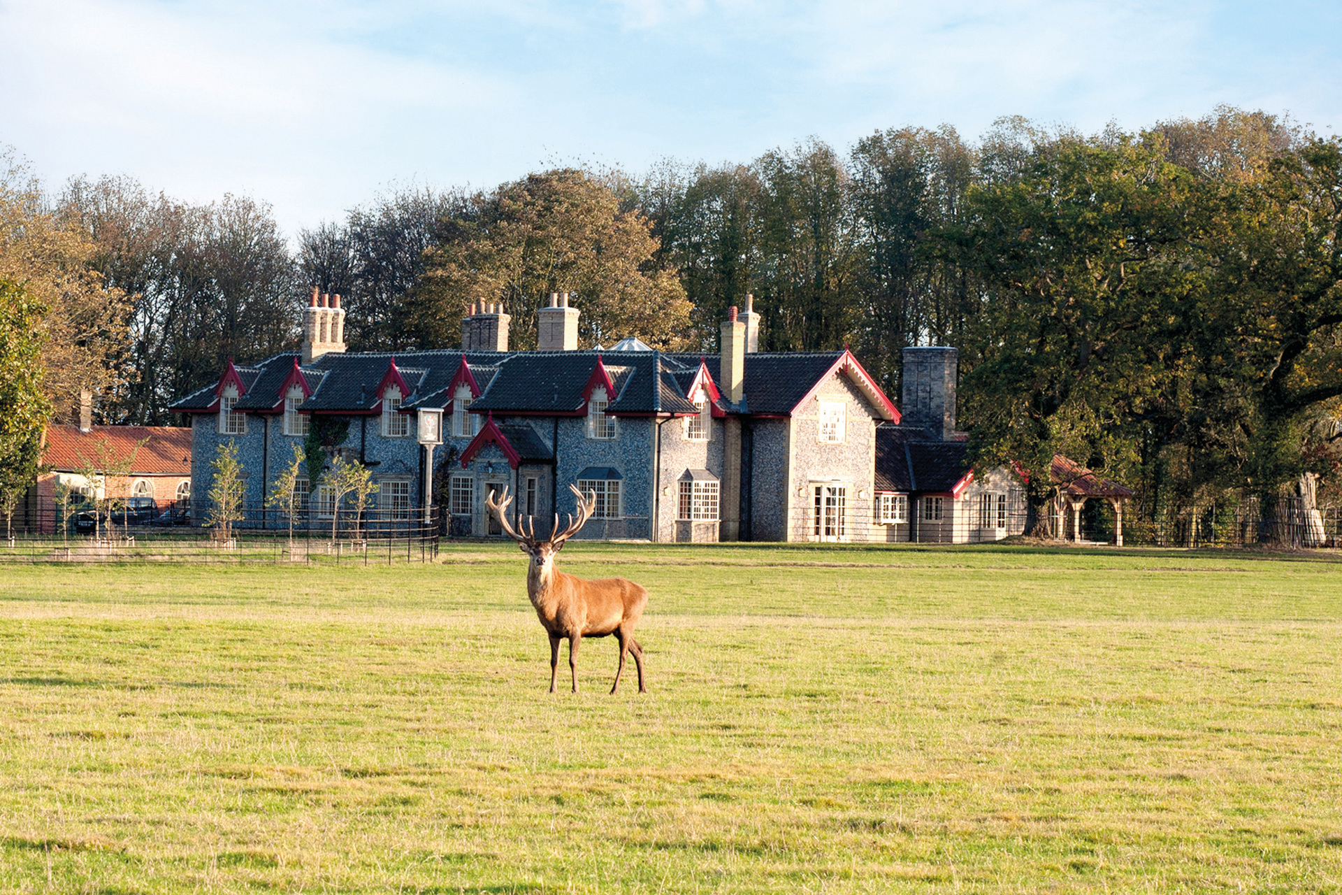 Open field with stag and country house