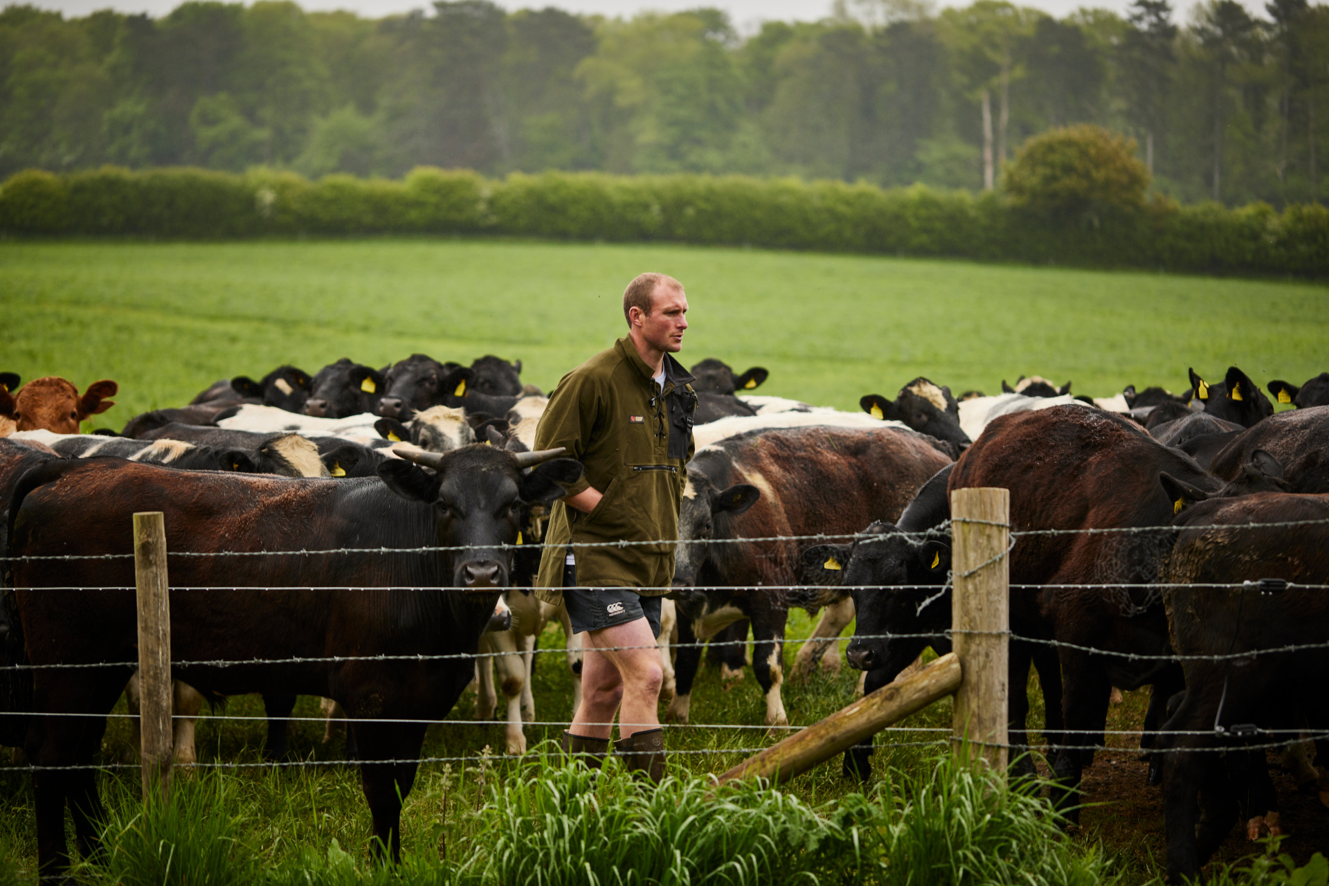 Honest Burgers Launches Regenerative Farming Initiative