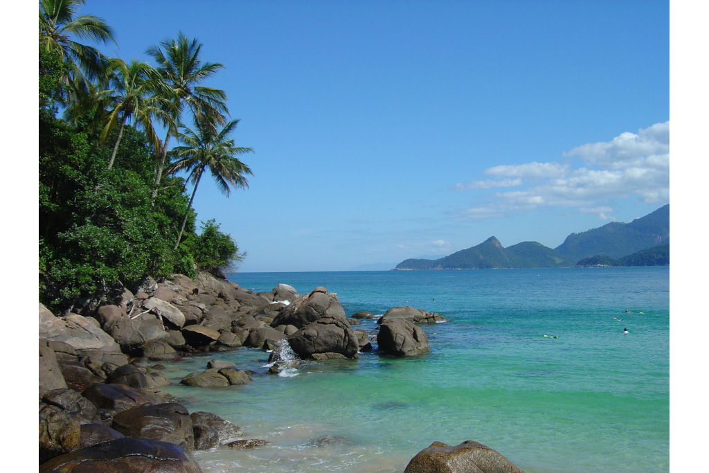 ilha Grande turquoise sea and palm trees