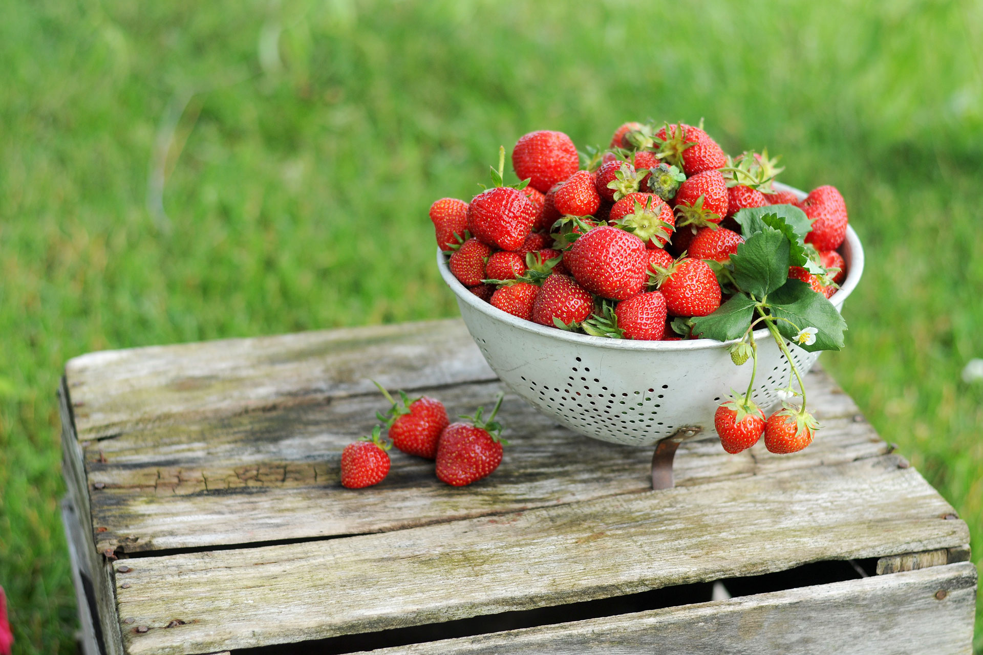 Strawberries