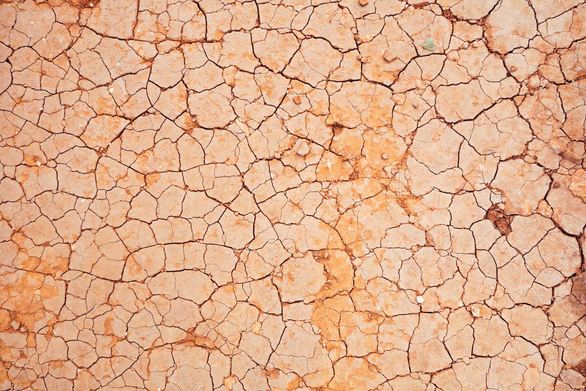 cracked desert land in Malta