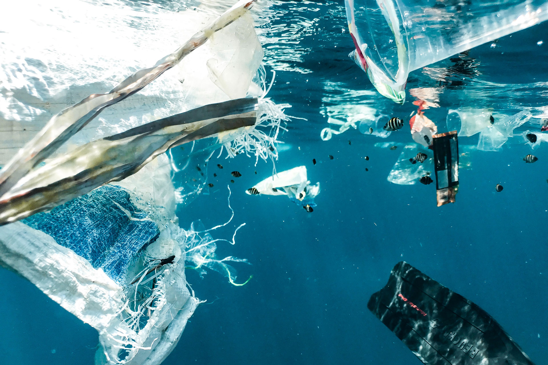 Plastic waste in the ocean