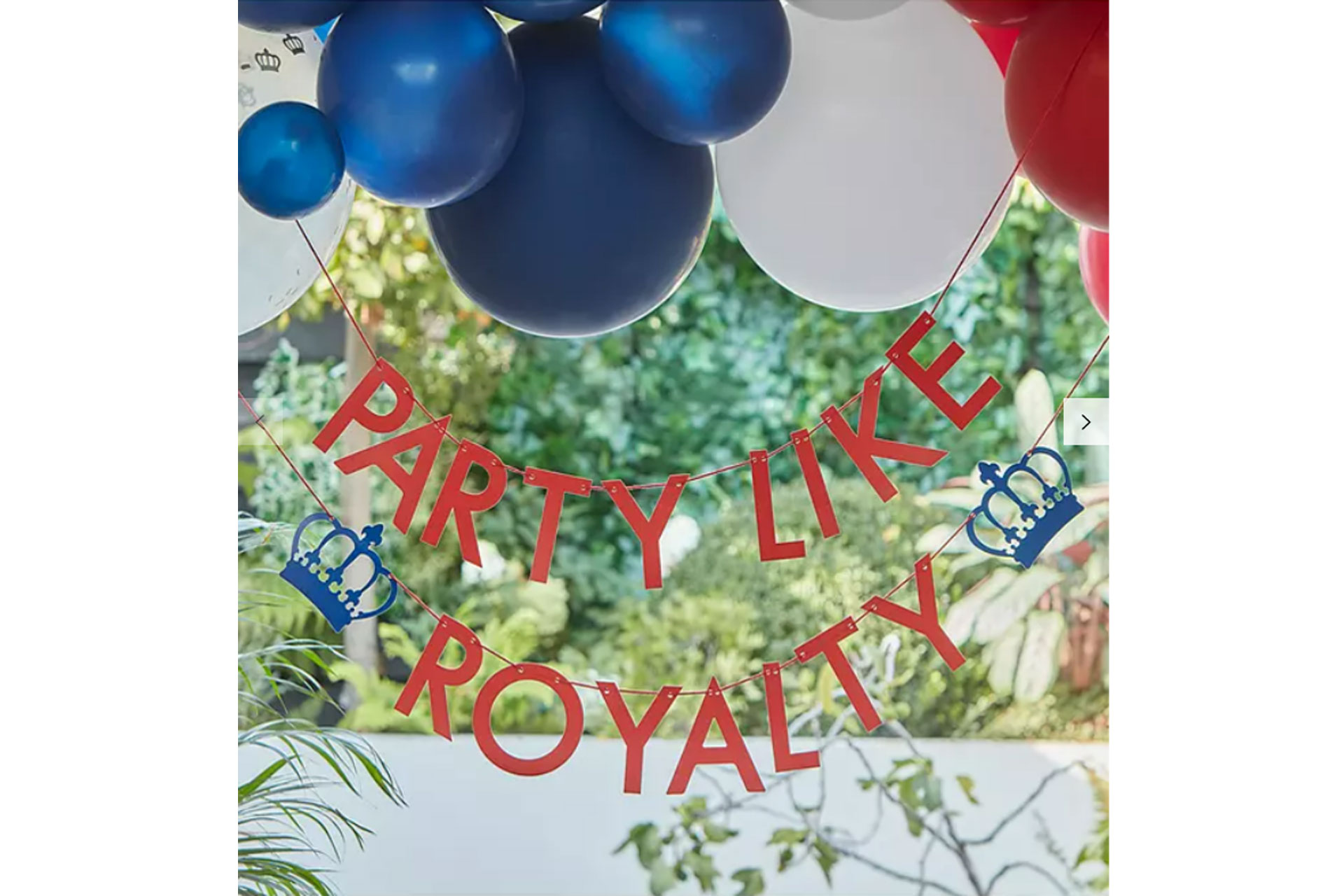 Party Like Royalty banner