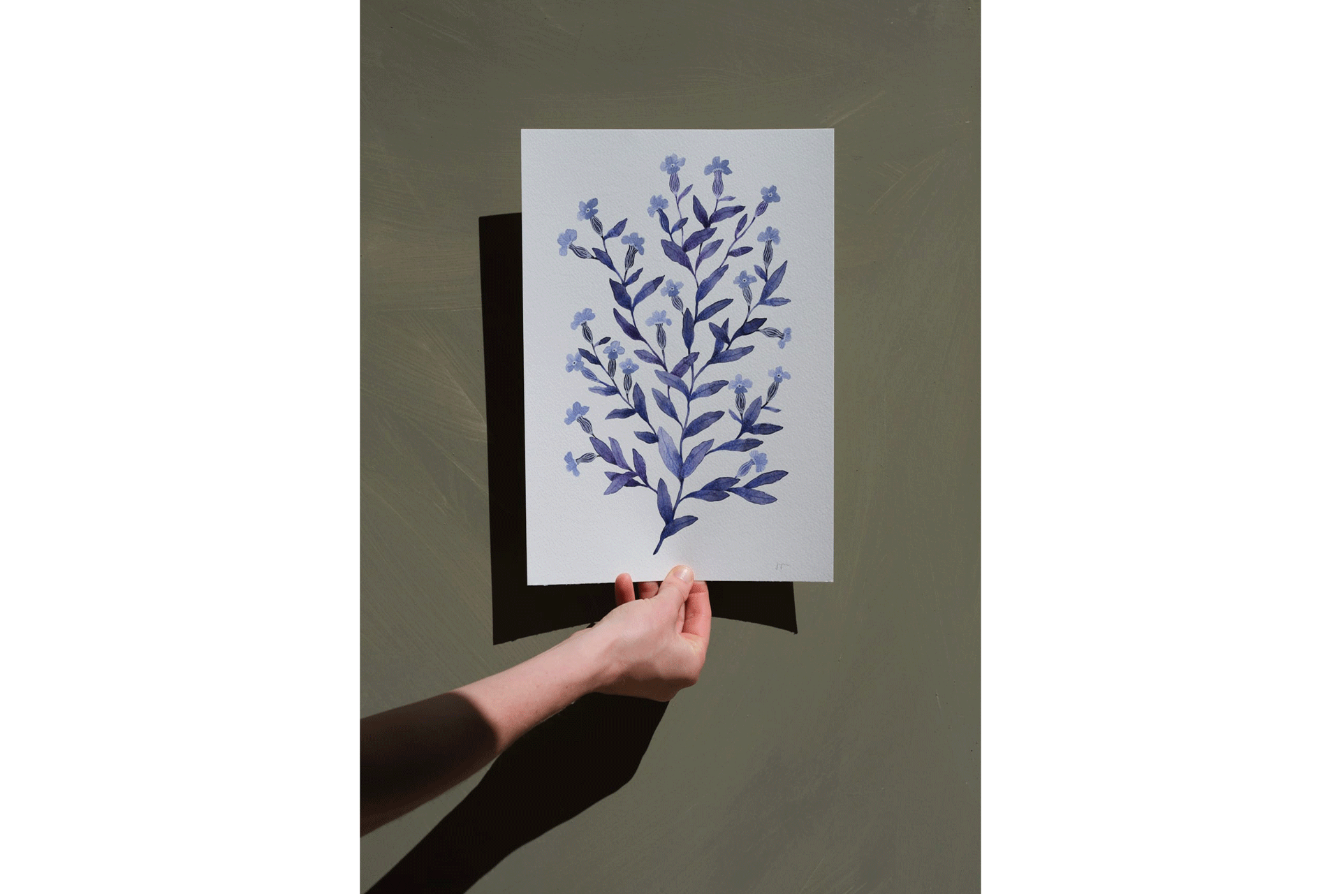 Herbaria Series – Silene by Jasmyn Kopcsandy sold by Ioata Edit