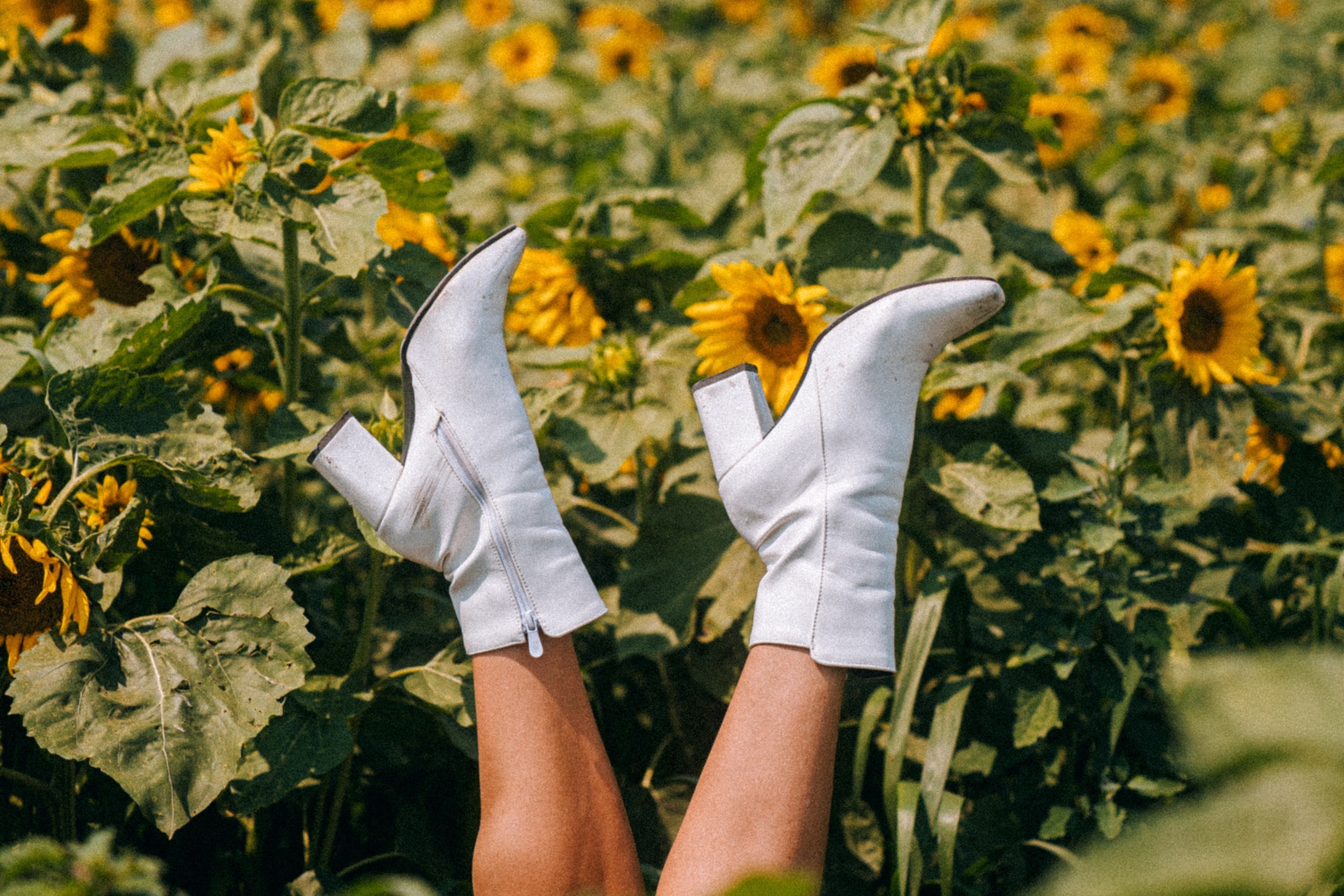 Legs in the air wearing white boots, in sunflower field
