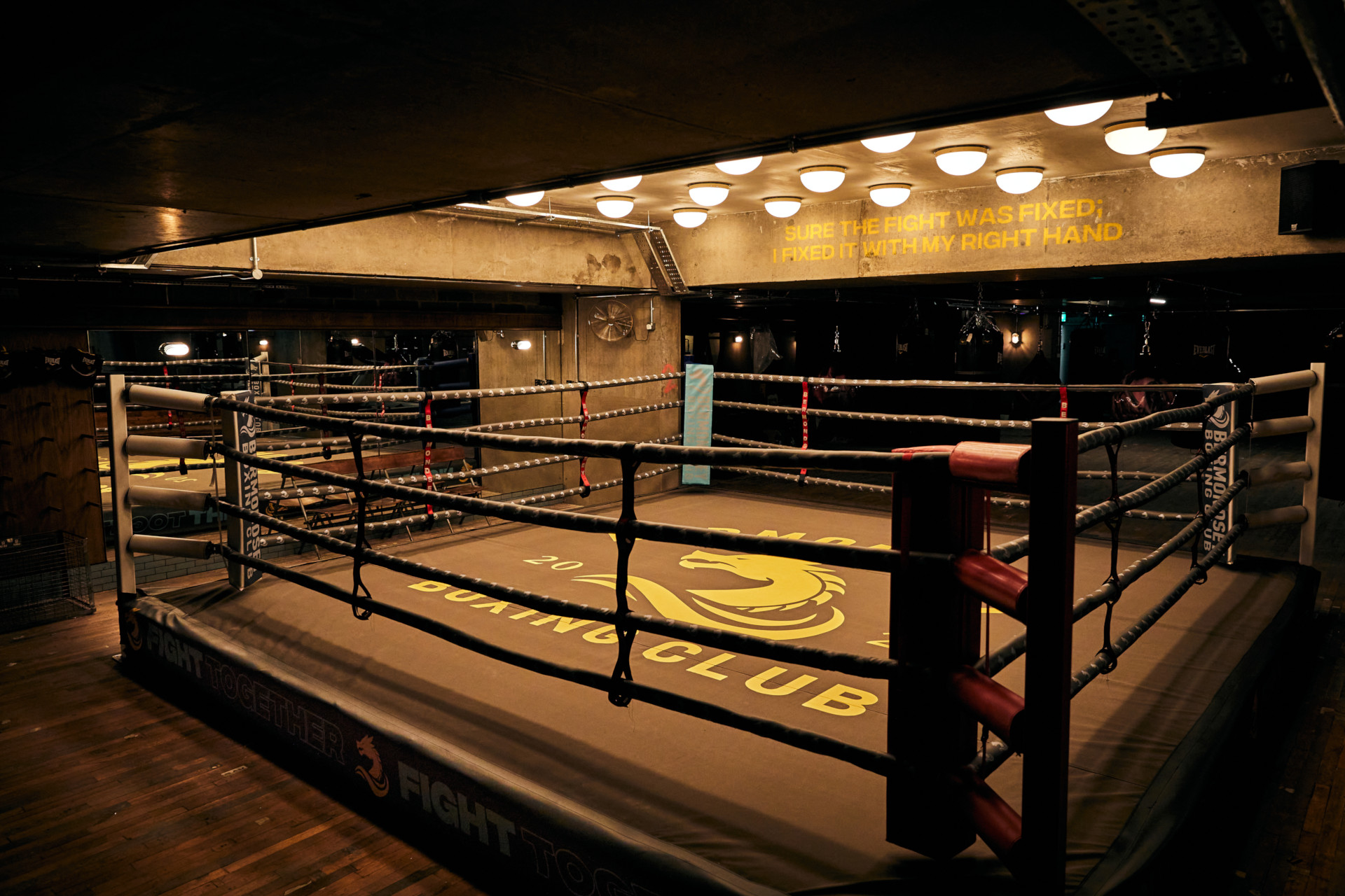 Boxing ring under low lights