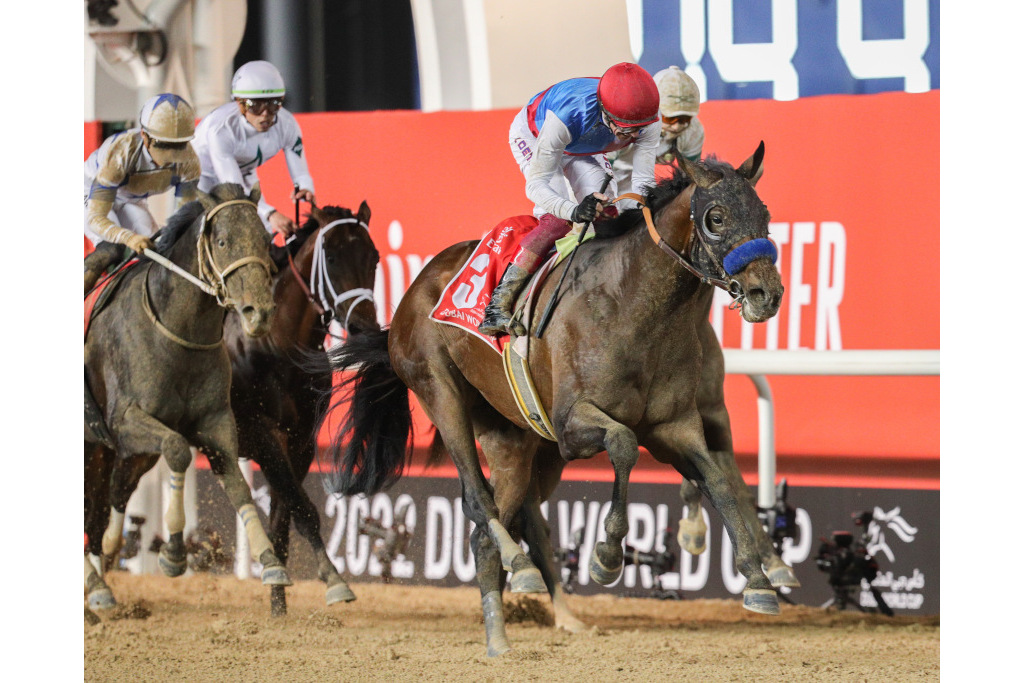 horse racing in dubai at country grammar