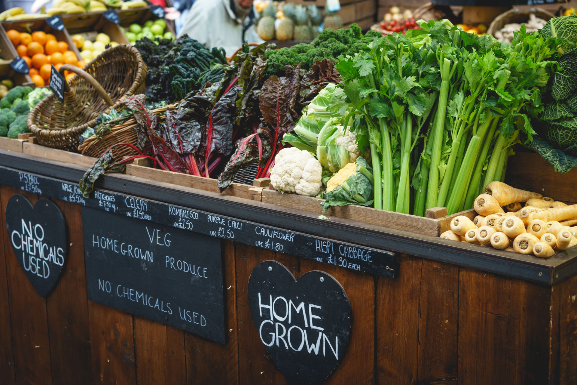 What Is Organic Food?