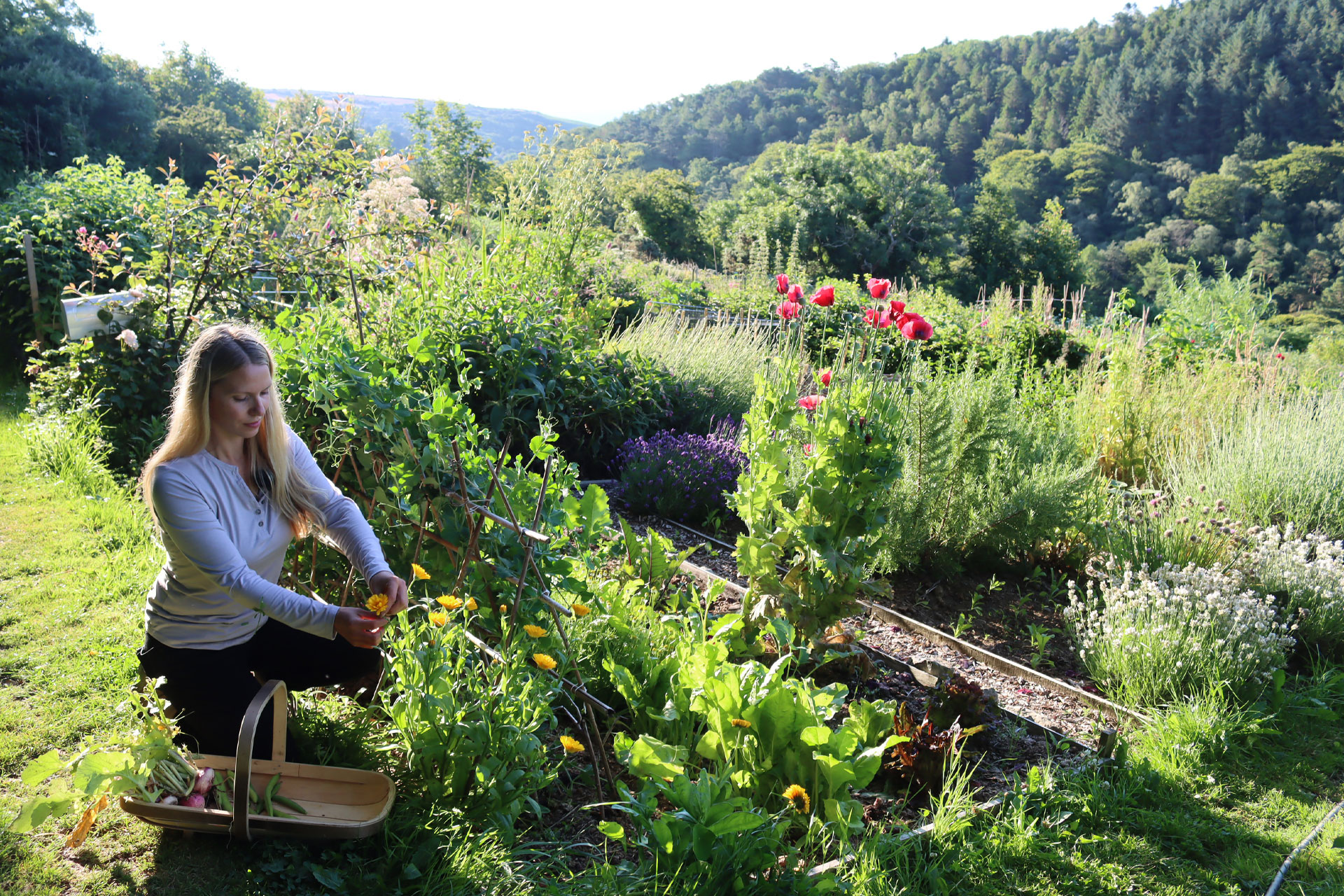 How To Create a Handmade Home with Tanya Anderson, founder of Lovely Greens