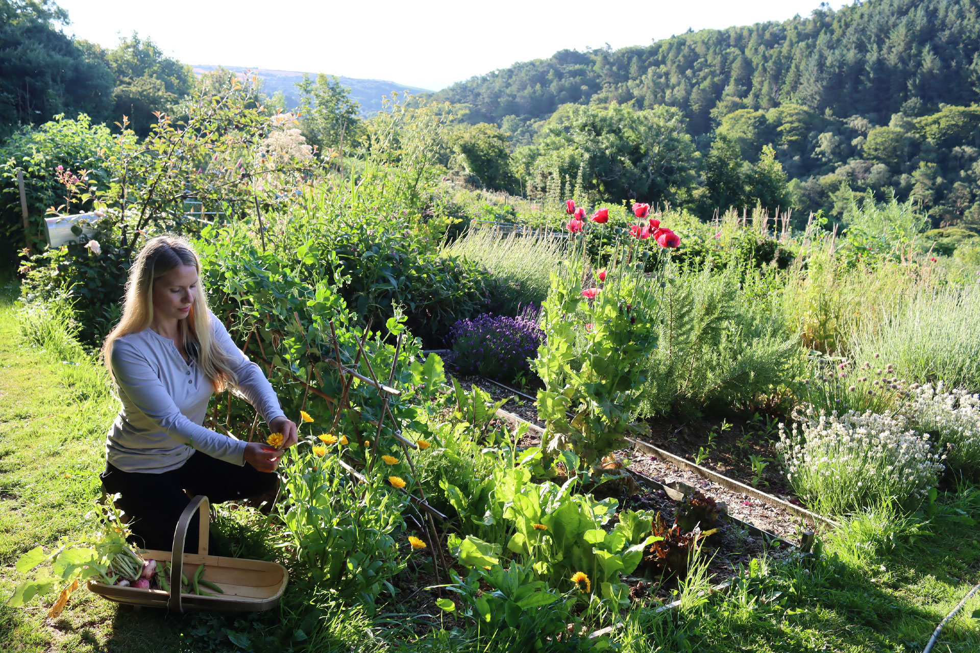 Tanya Anderson, founder of the Lovely Greens