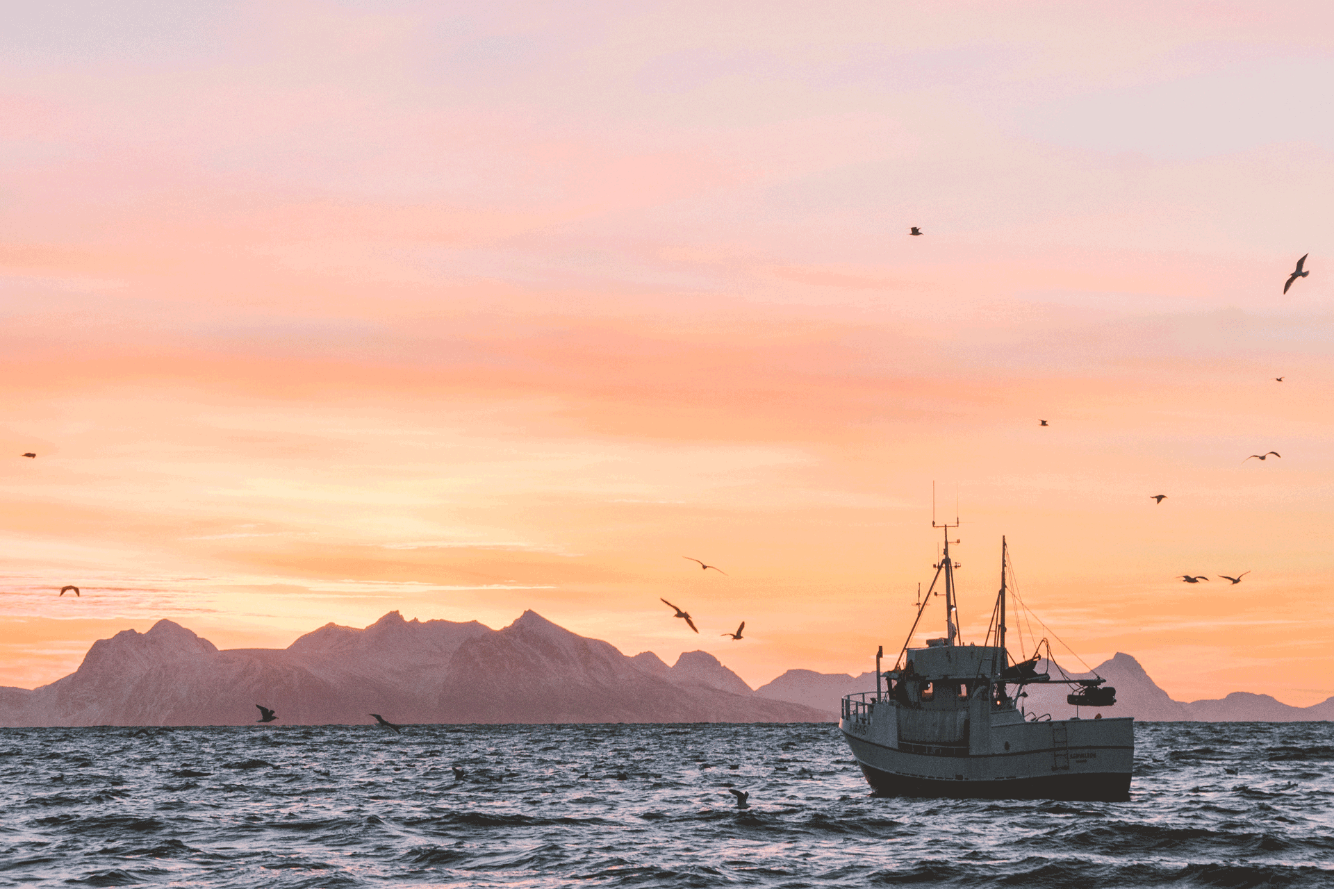 Fishing boat on a calm ocean at sunset.