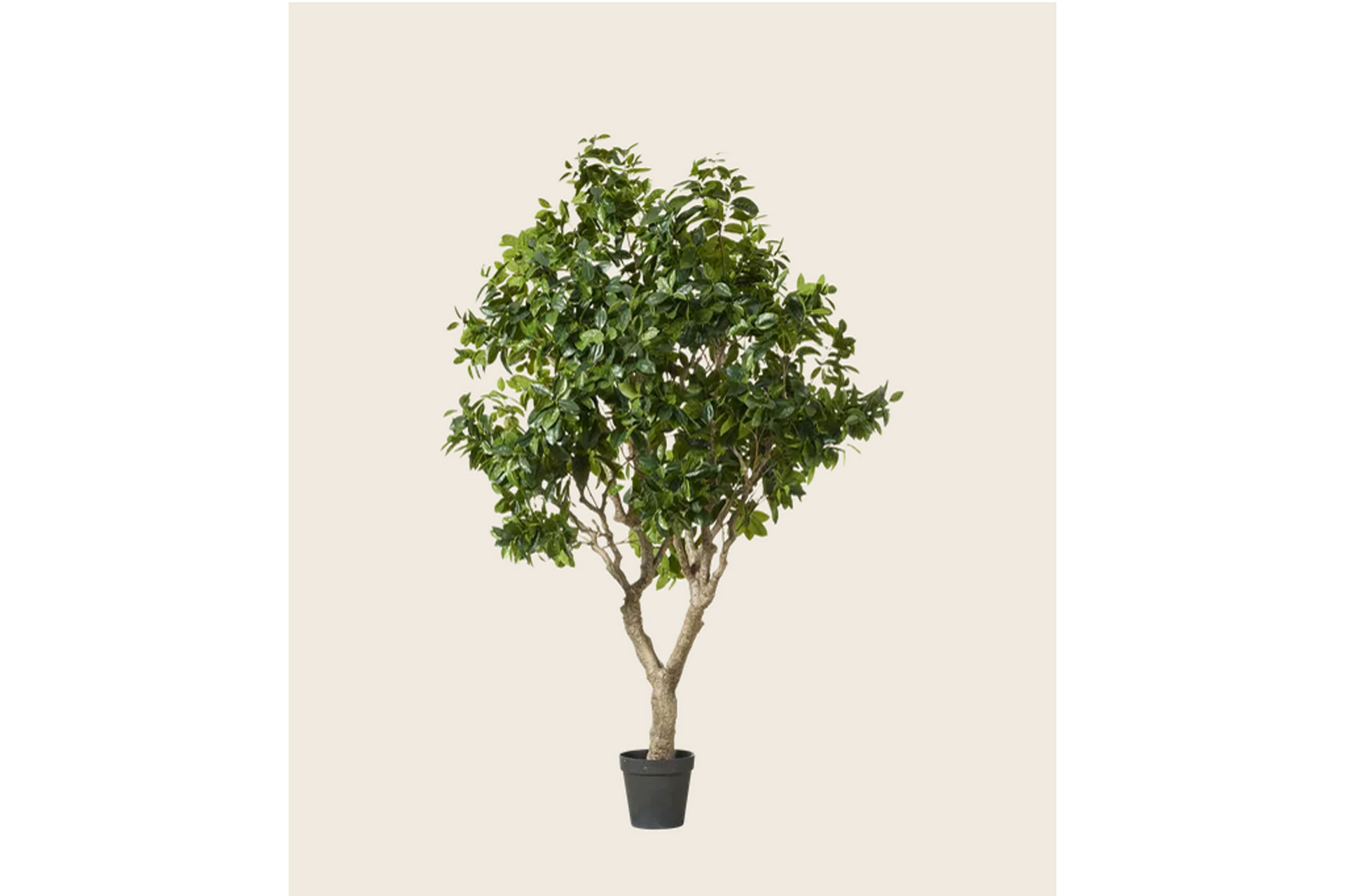 Extra Large Faux Fiddle Tree by Oka