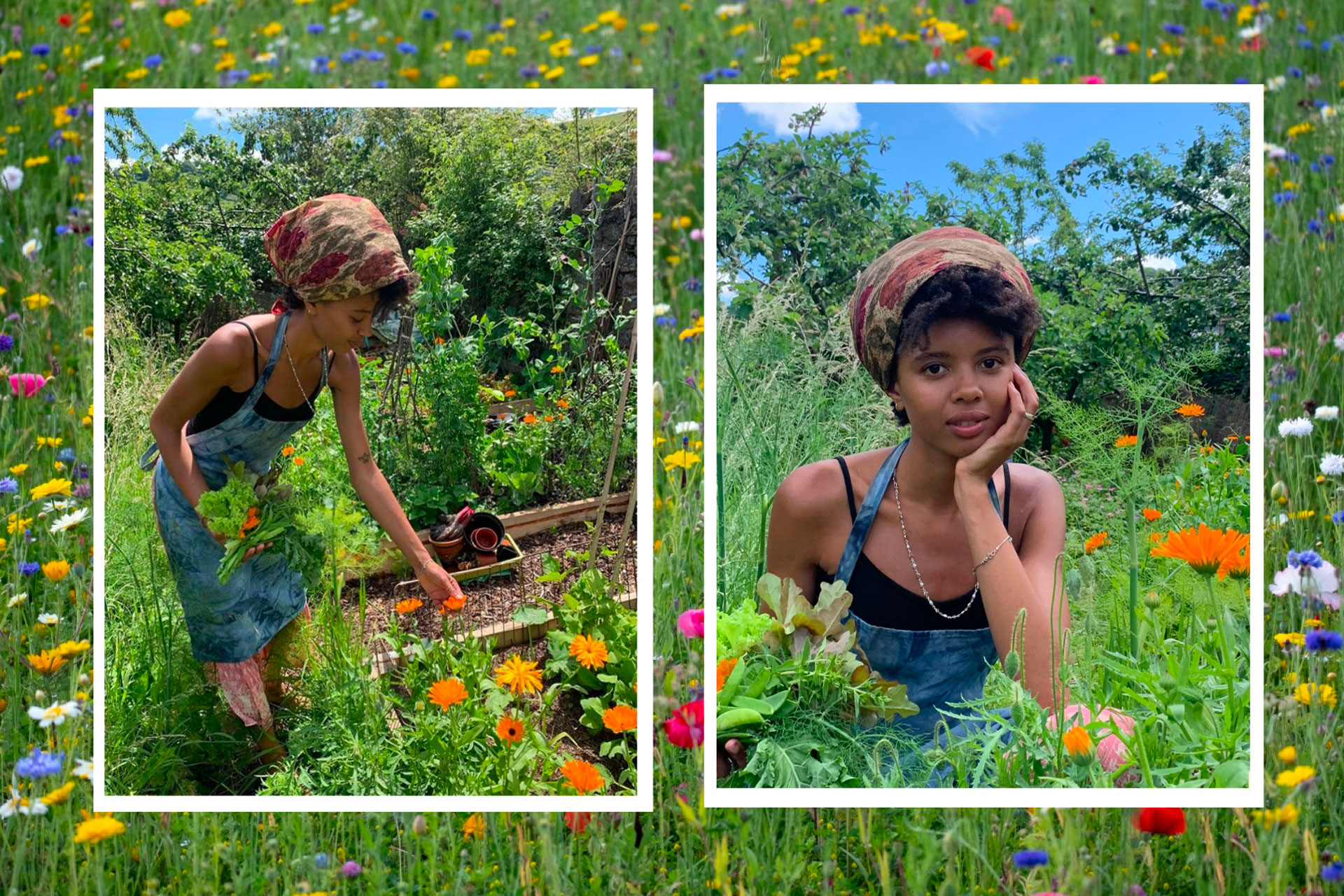 a collage of Poppy Okotcha, a model and ecologist picking flowers, behind a background of wild flowers
