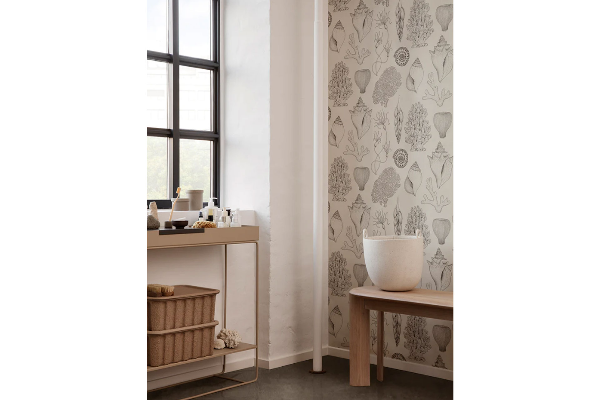 black and white linear illustration of shells by Katie Scott Wallpaper