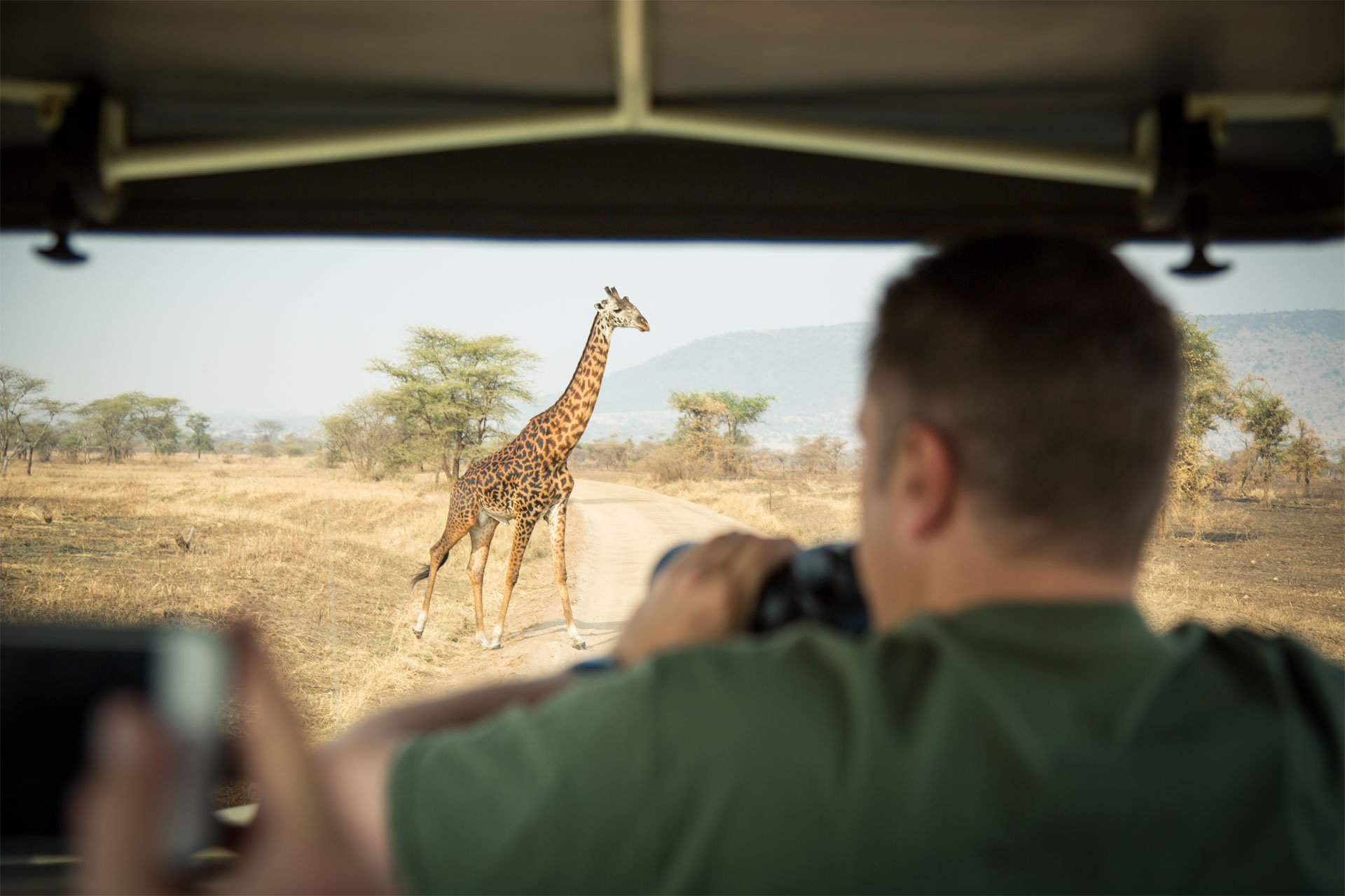 Safari, a prize to be won at a charity auction