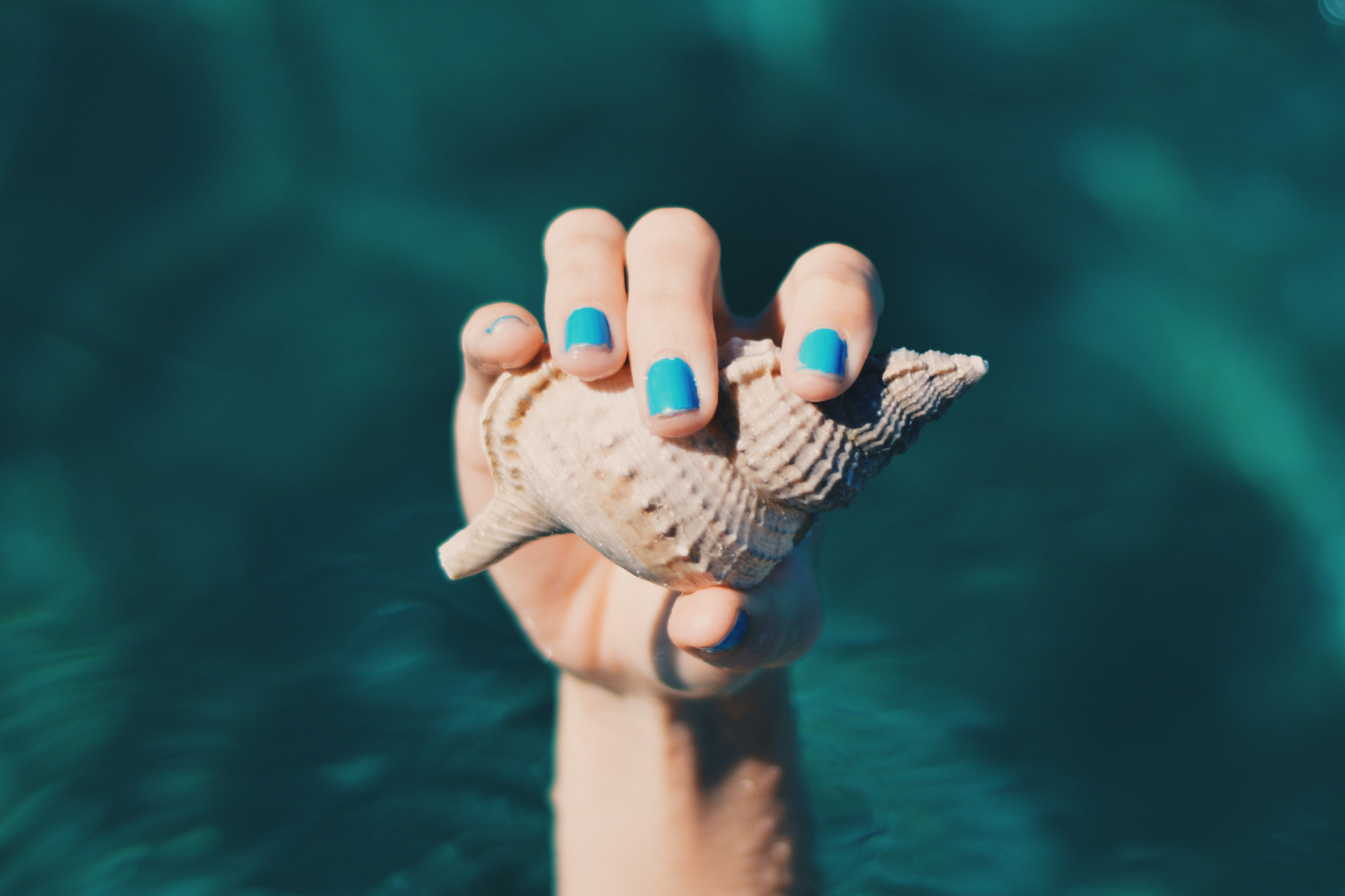 Hand with blue nails holding a shell out of a pool