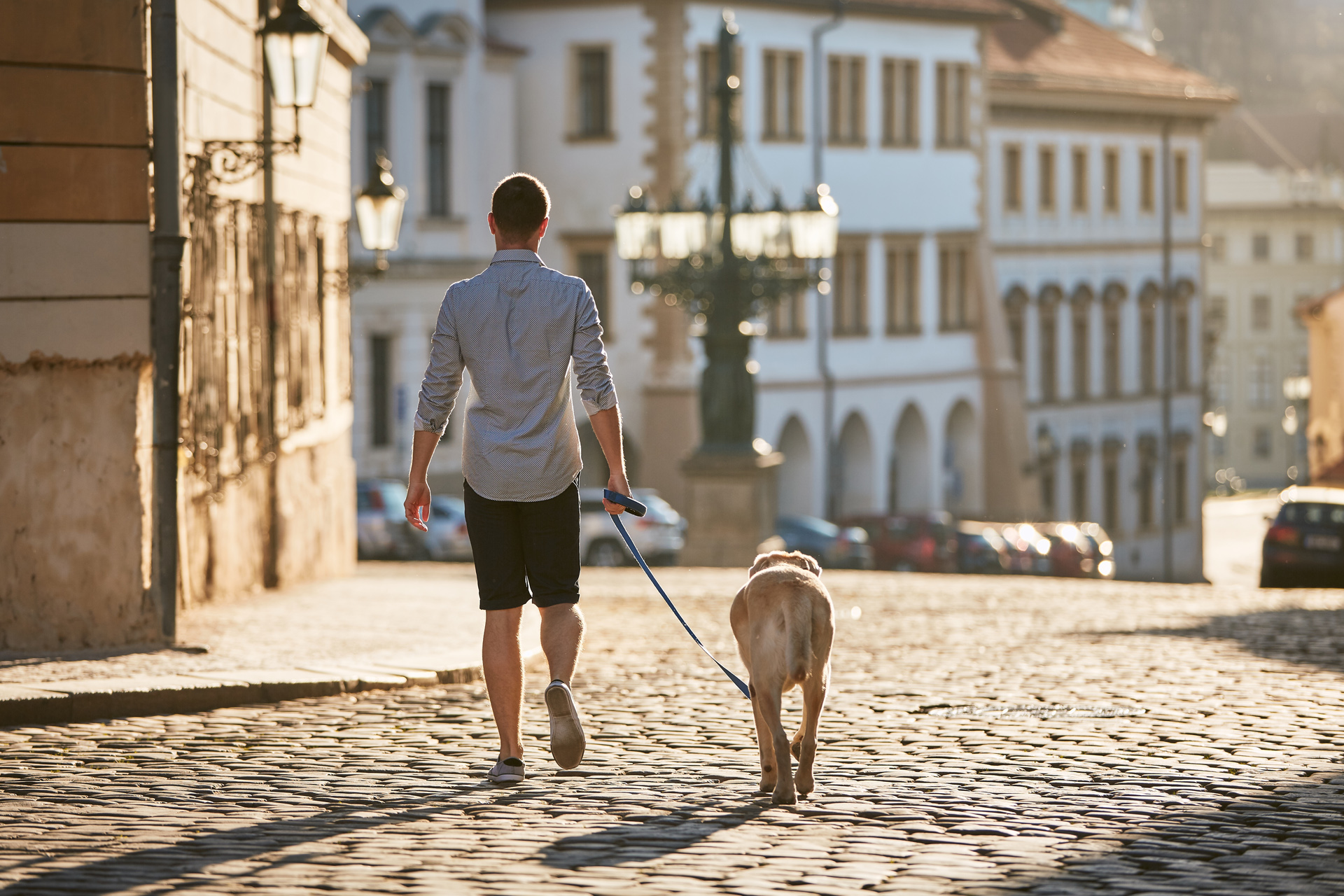 Rear view of young man walking with dog on street at sunrise. Prague, Czech Republic