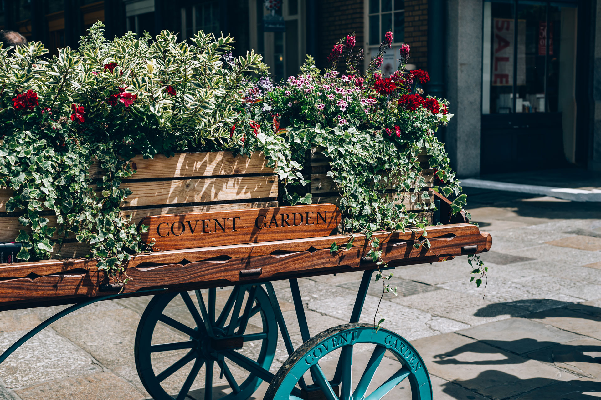 Plant basket at Covent Garden