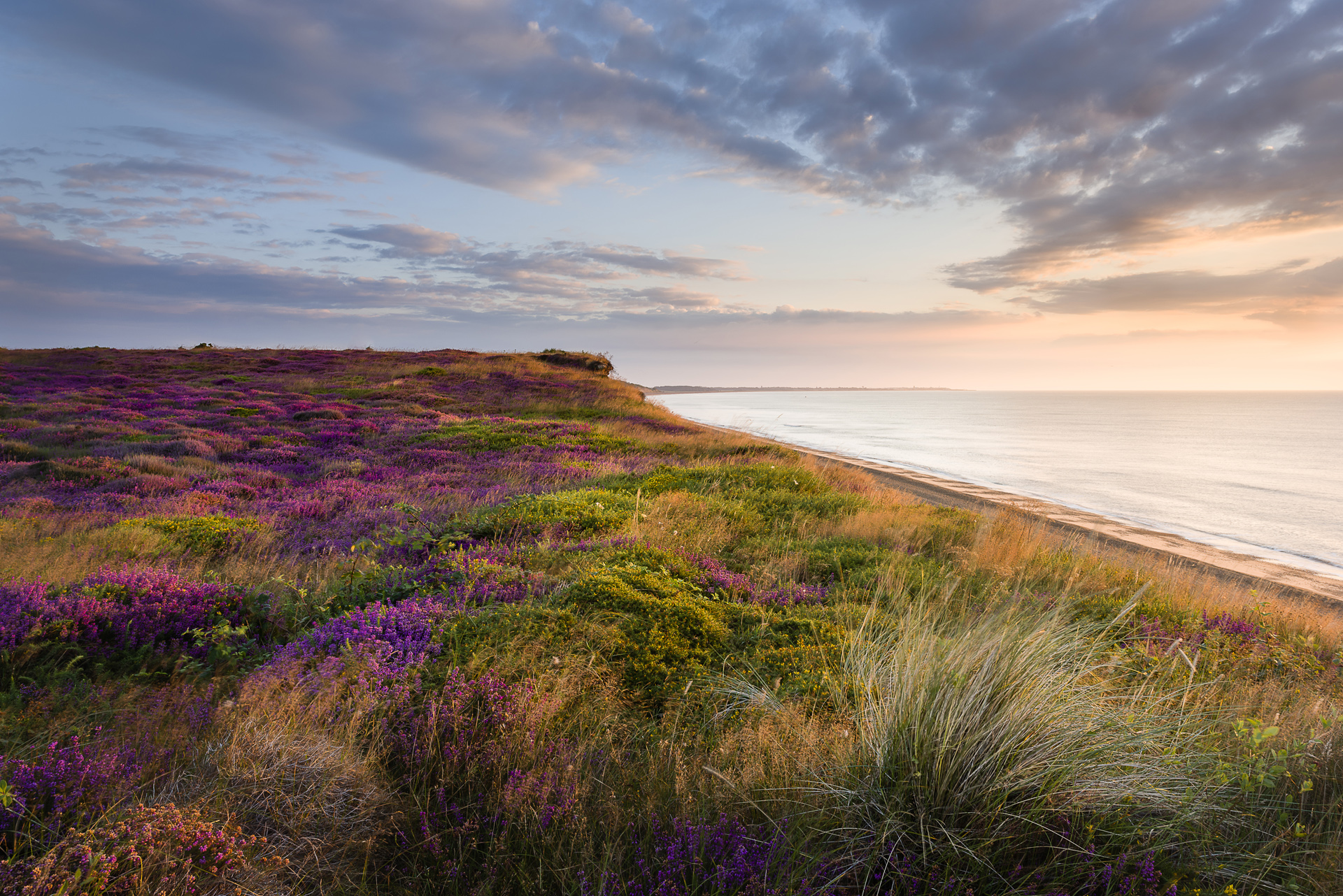 Cloudy morning sky over sea and Dunwich eath heather