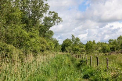 countryside in orne, france