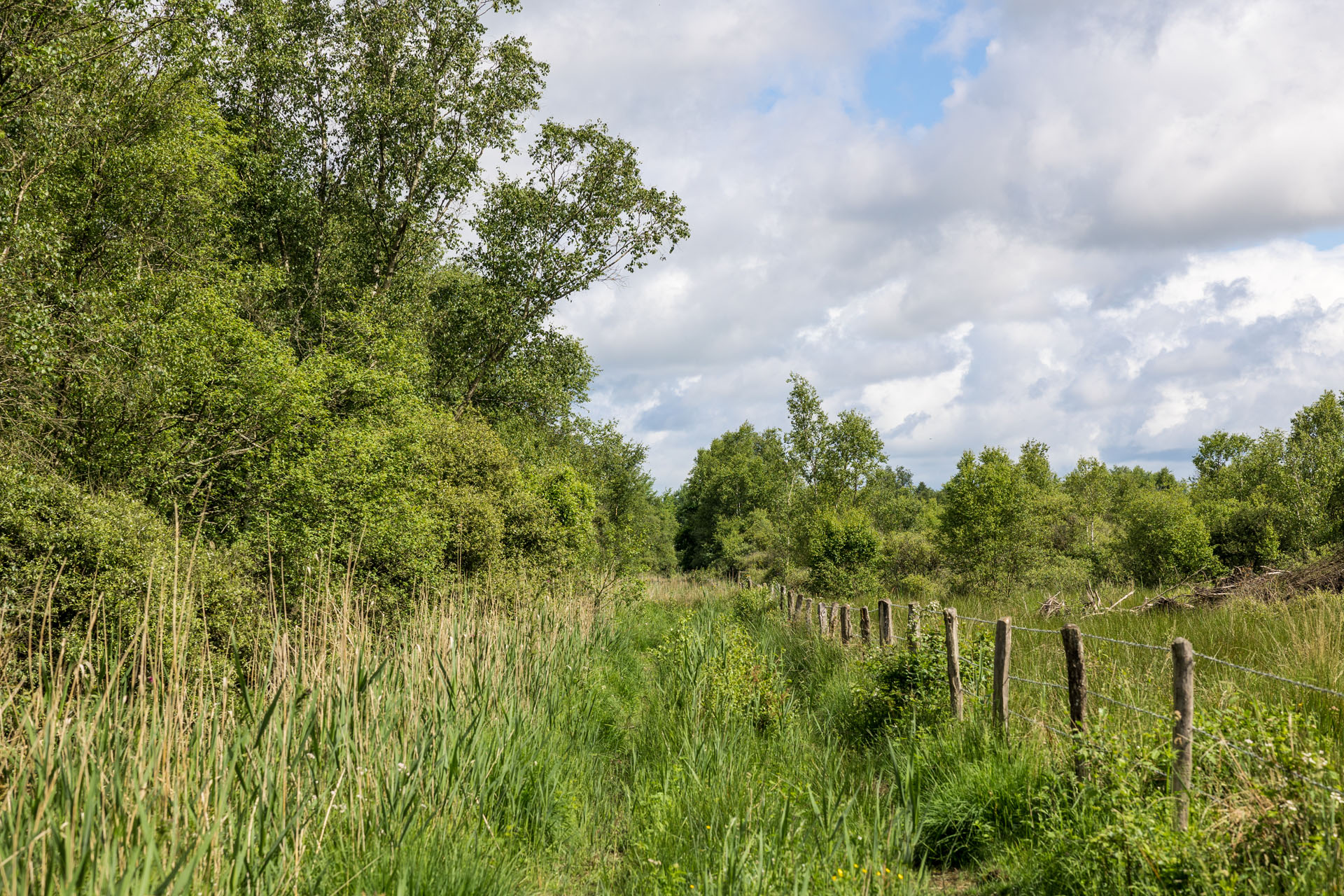 countryside in orne, france