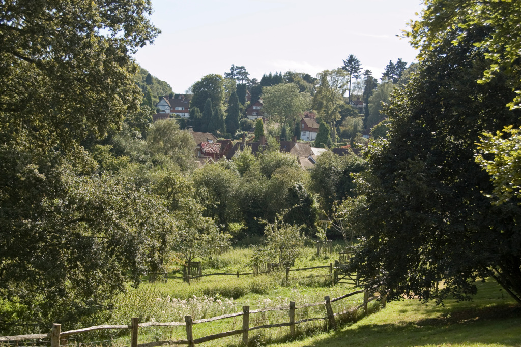 shot of countryside in Haslemere, Surrey