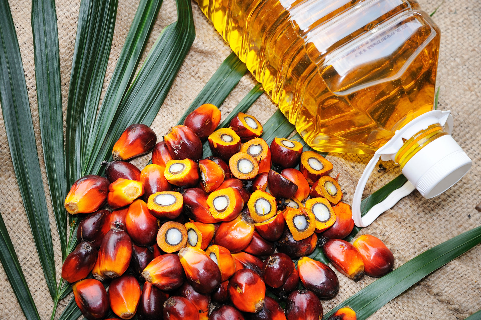 Palm oil